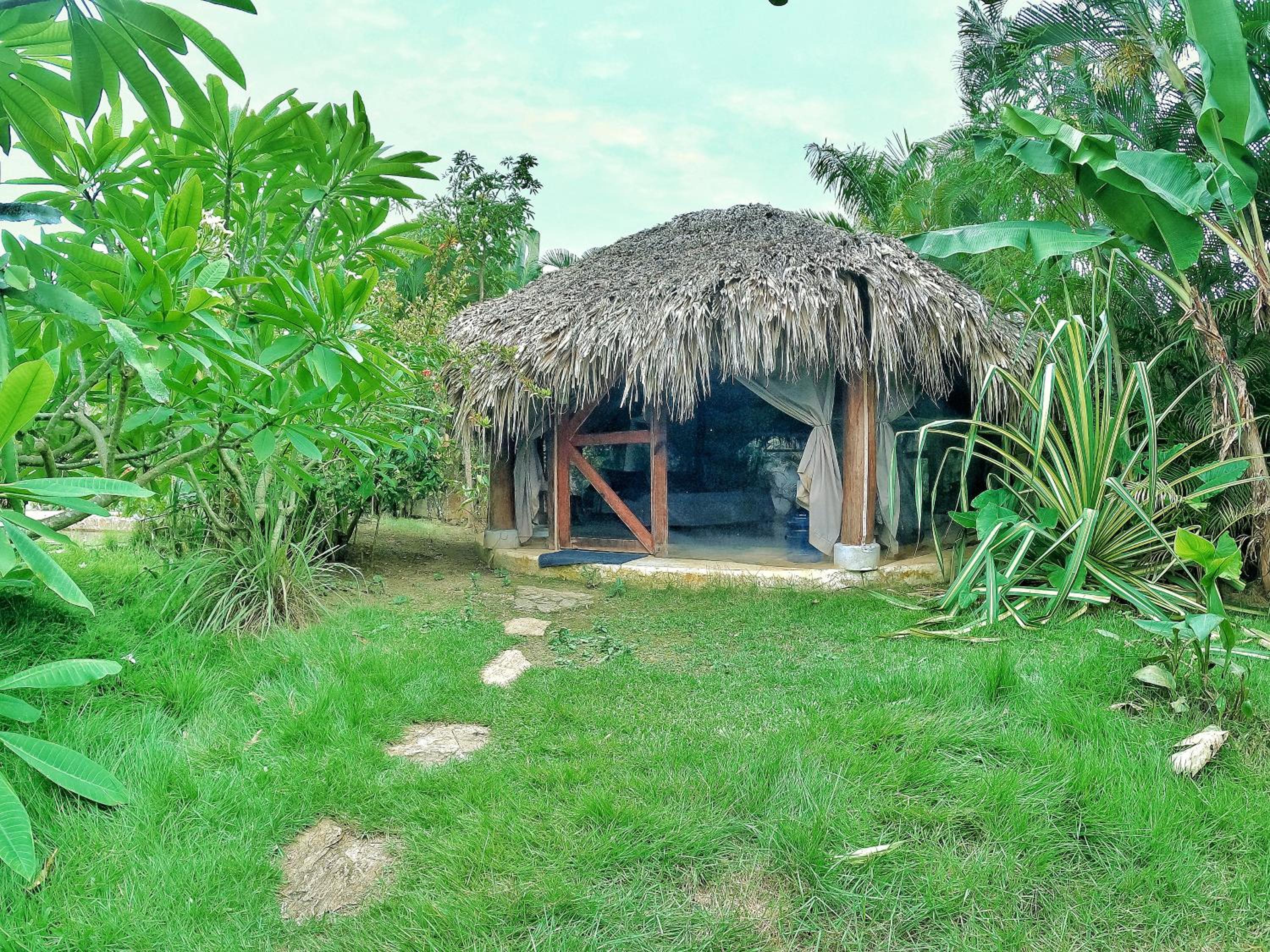 Photo 10