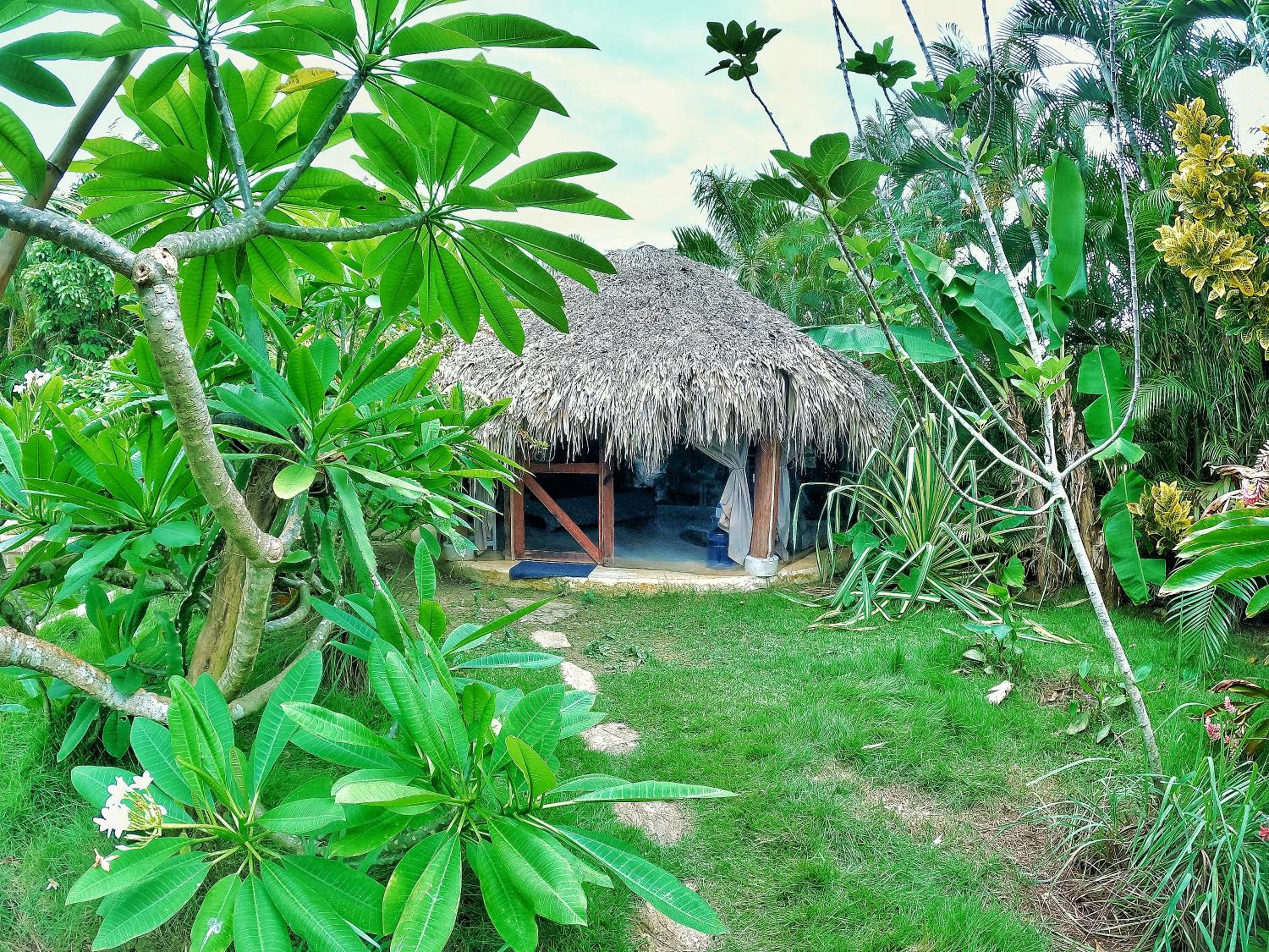 Jungle Hut near Beach - Nature Lovers view 2