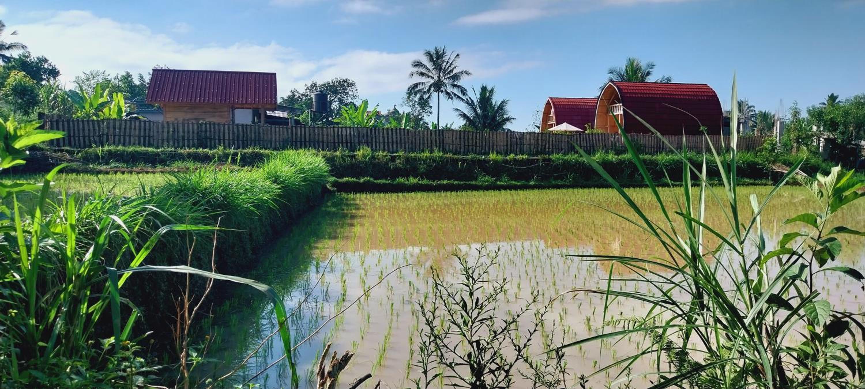 Raturinjani homestay