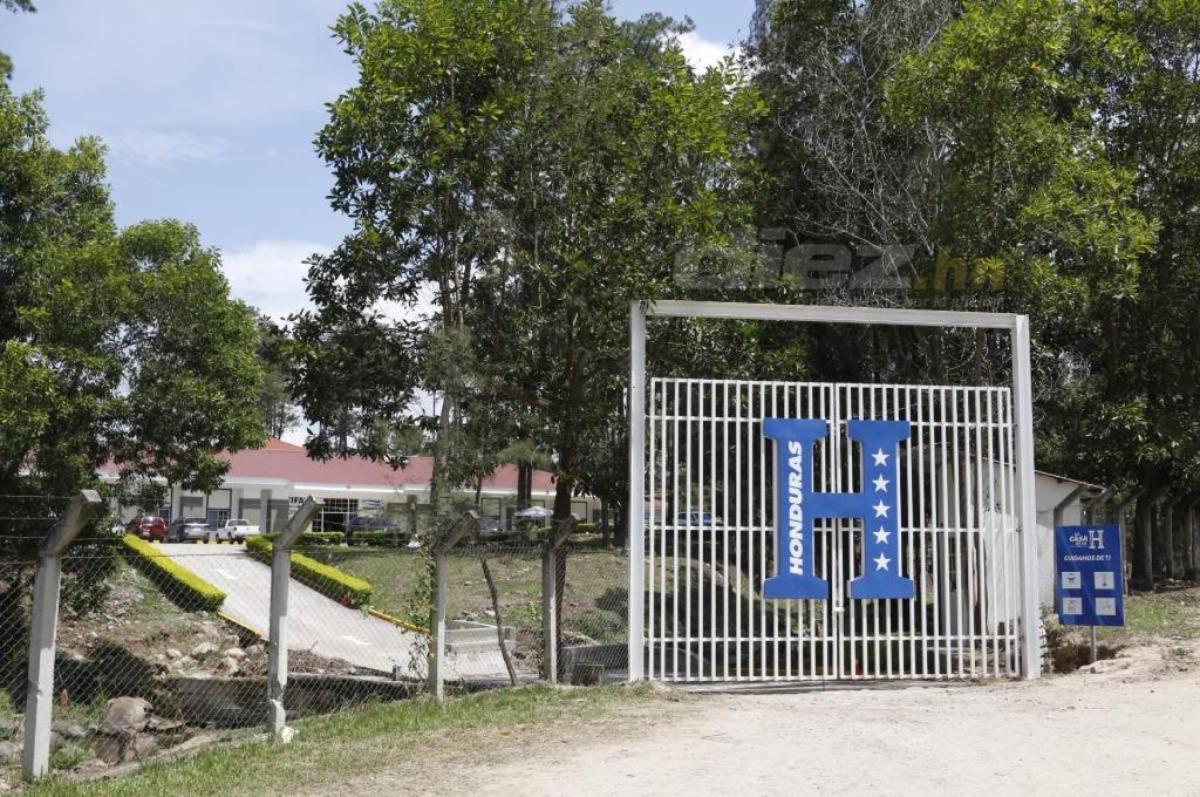 La casa de la H, entre pinos