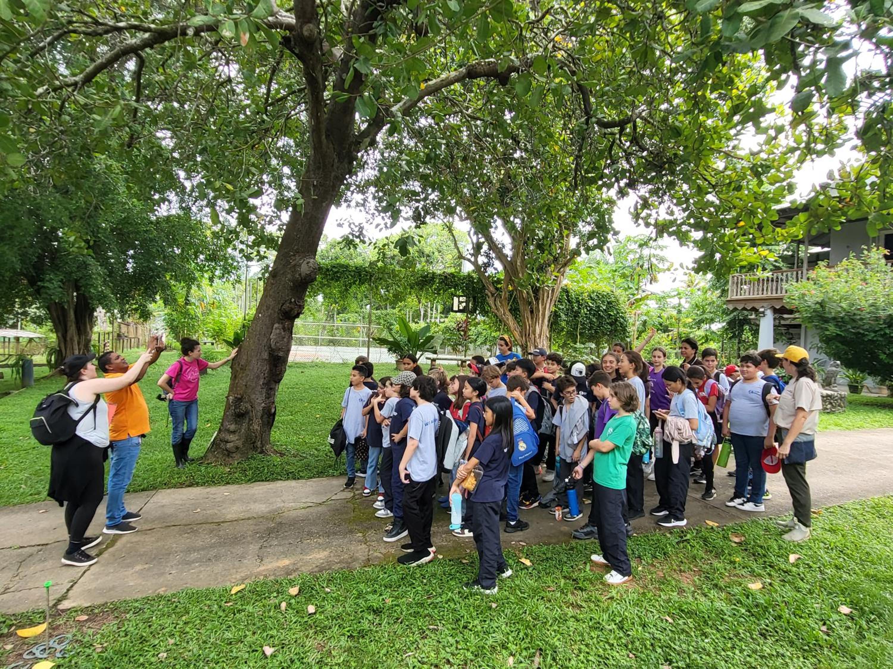 Coquira Soil Project - Property Image 23