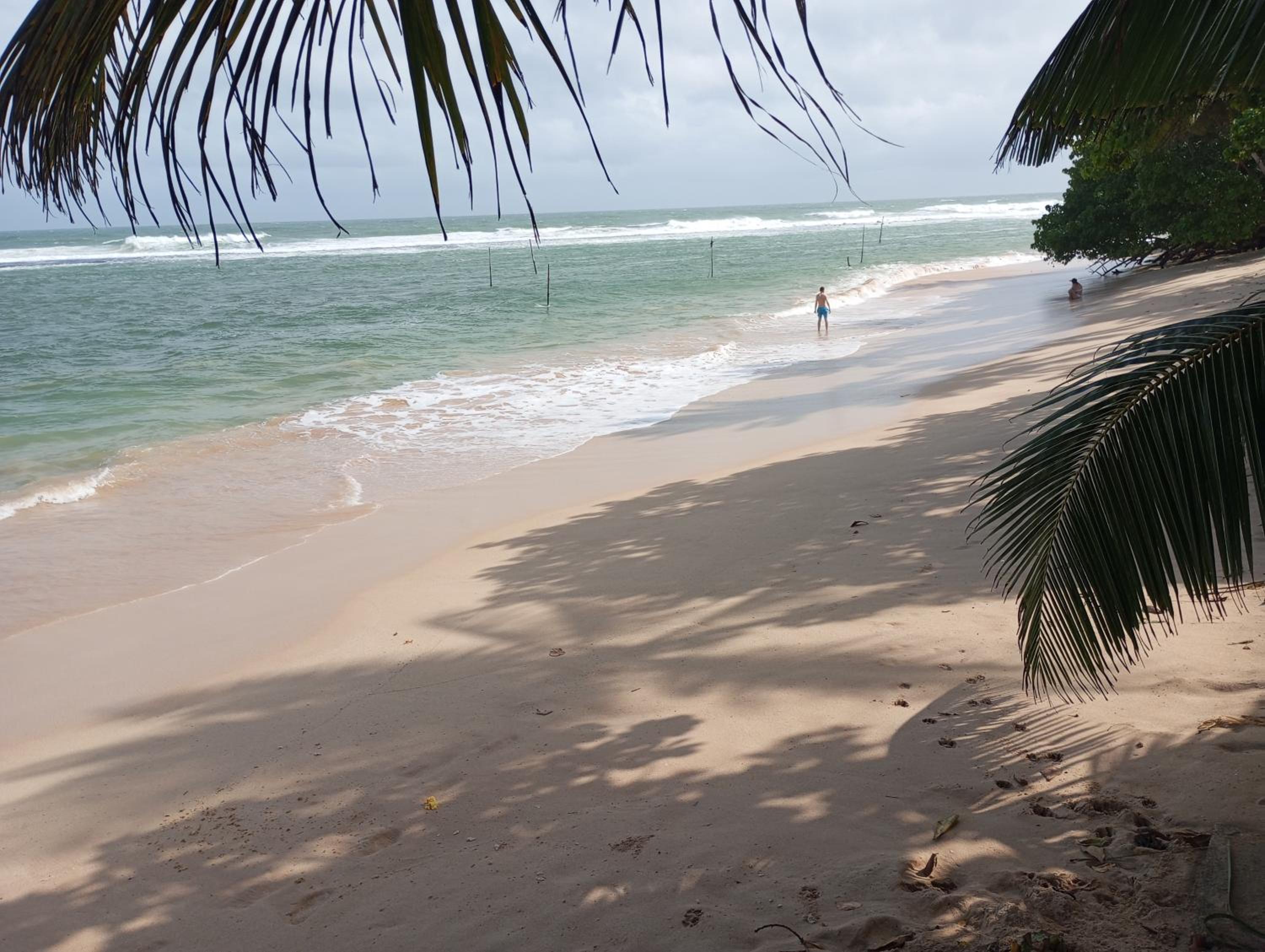 Chathu Rest view 2