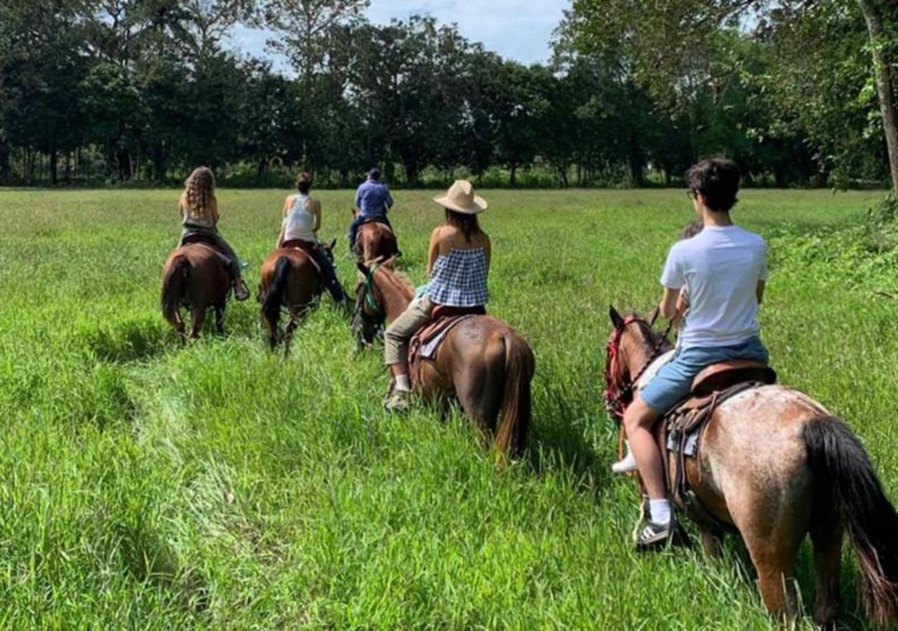 Coquira Soil Project - Property Image 22