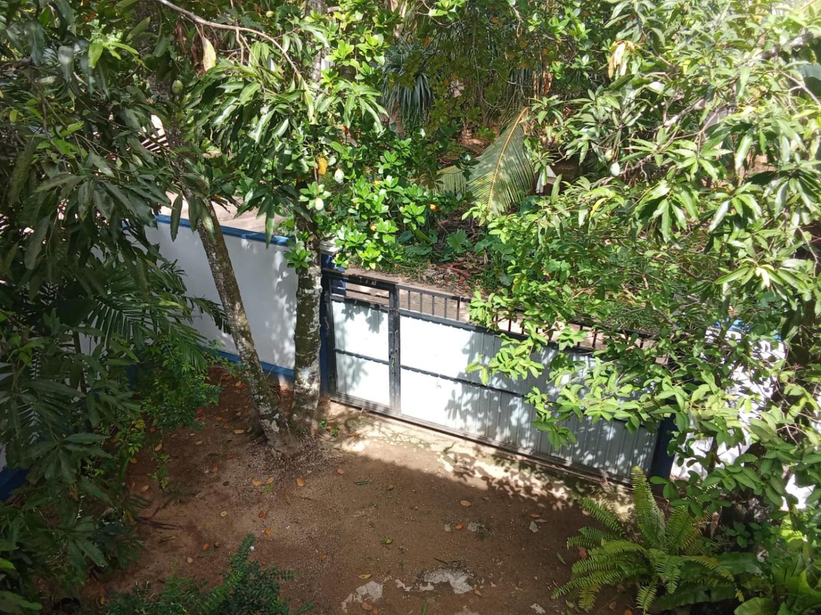 Photo 25