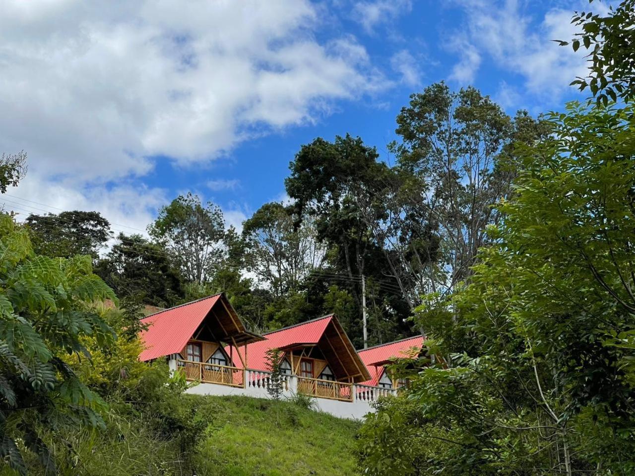 Estadero solcafe