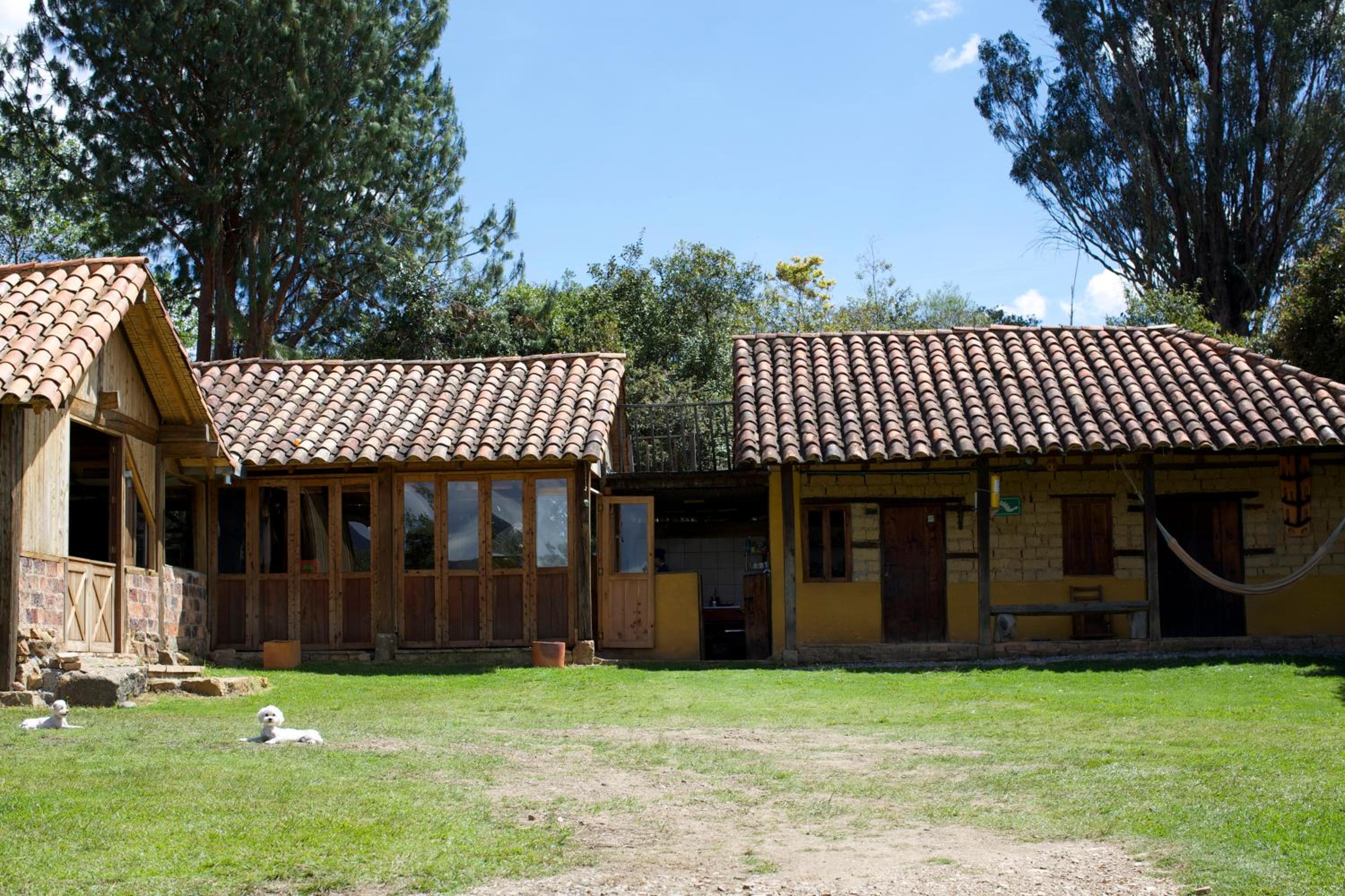 Photo 25