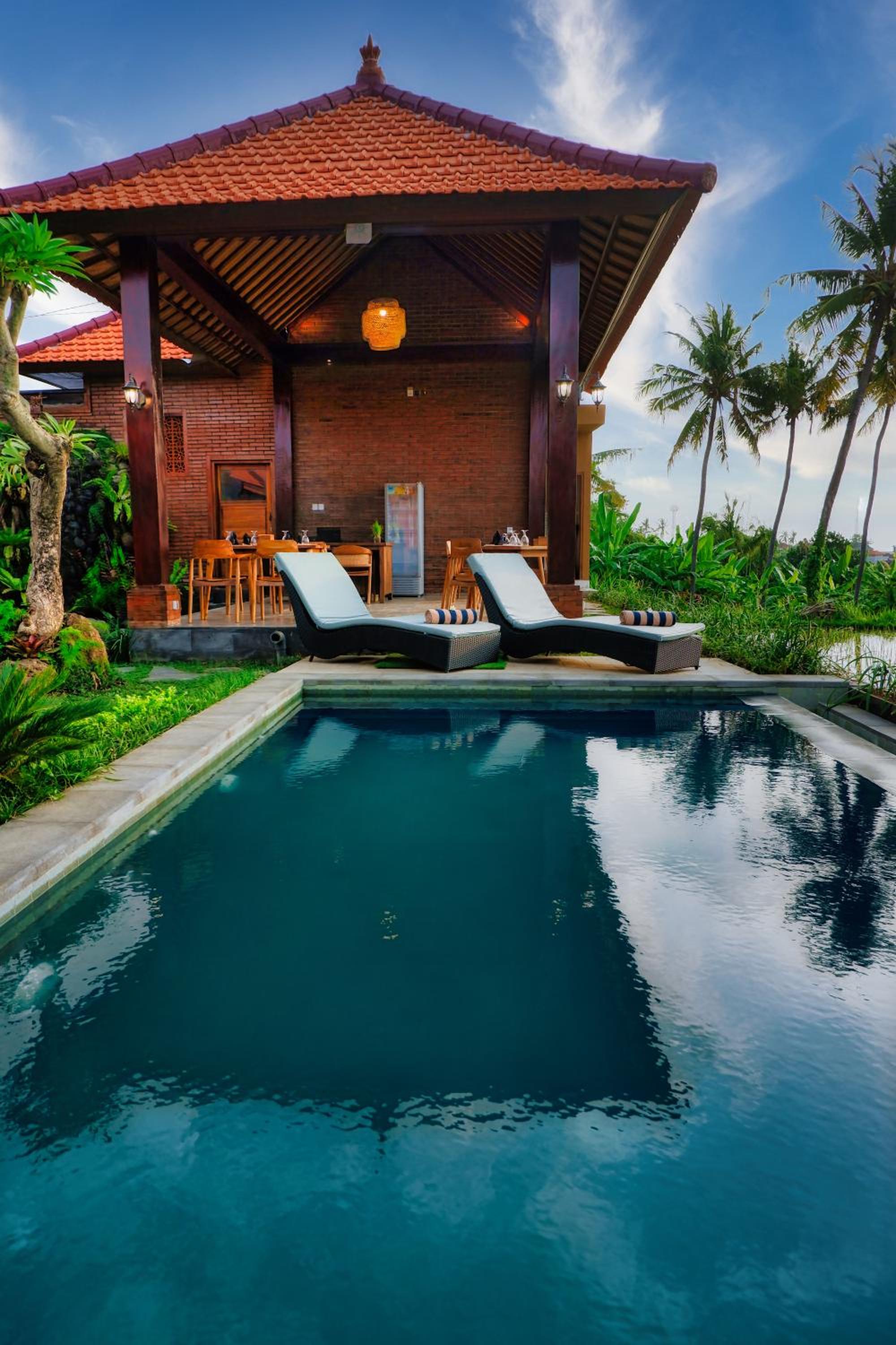 Dapha Eco Lodge Lovina view 3