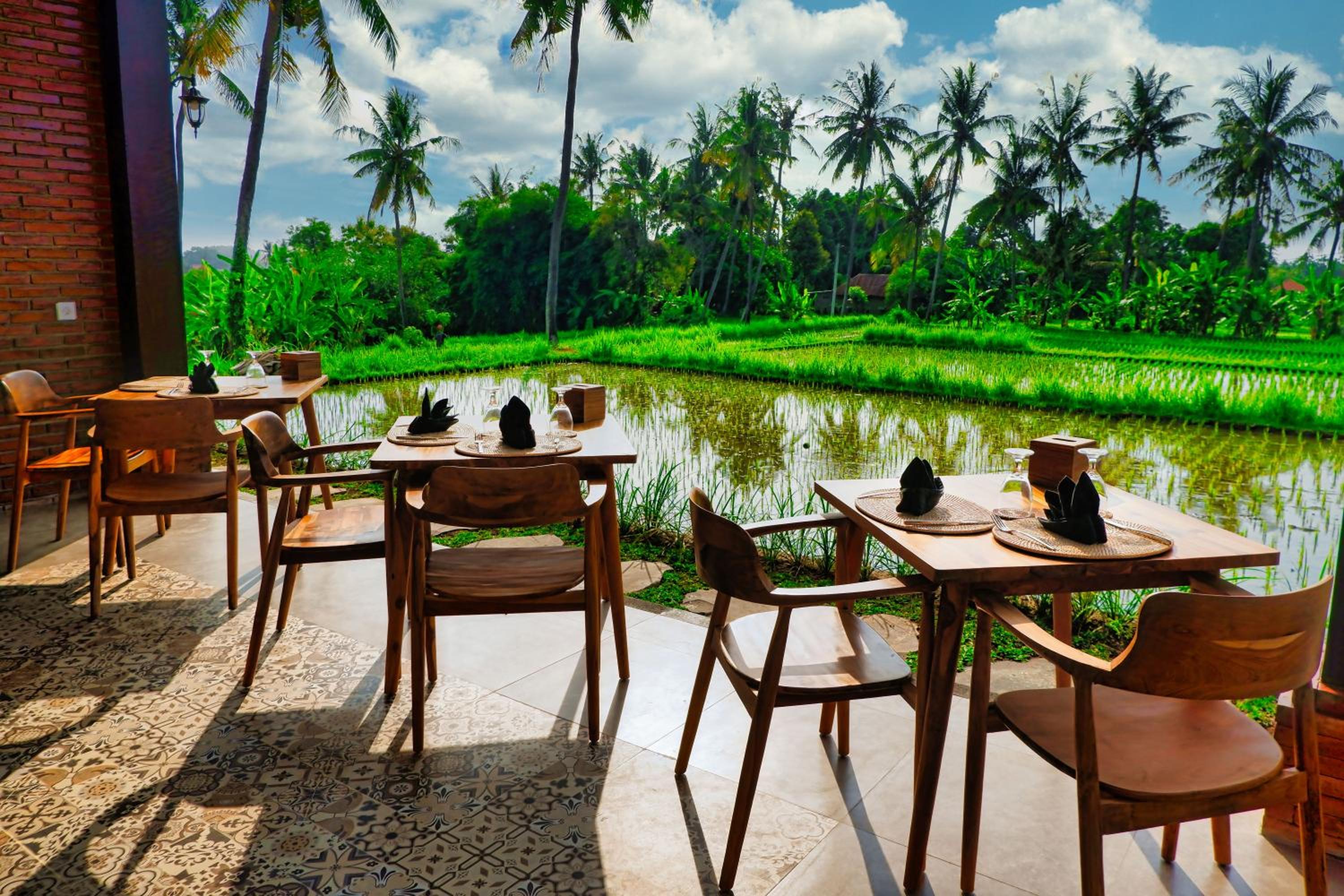 Dapha Eco Lodge Lovina view 5