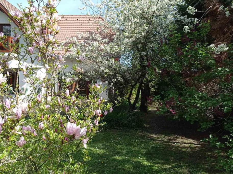 Pine Grove Villa view 2