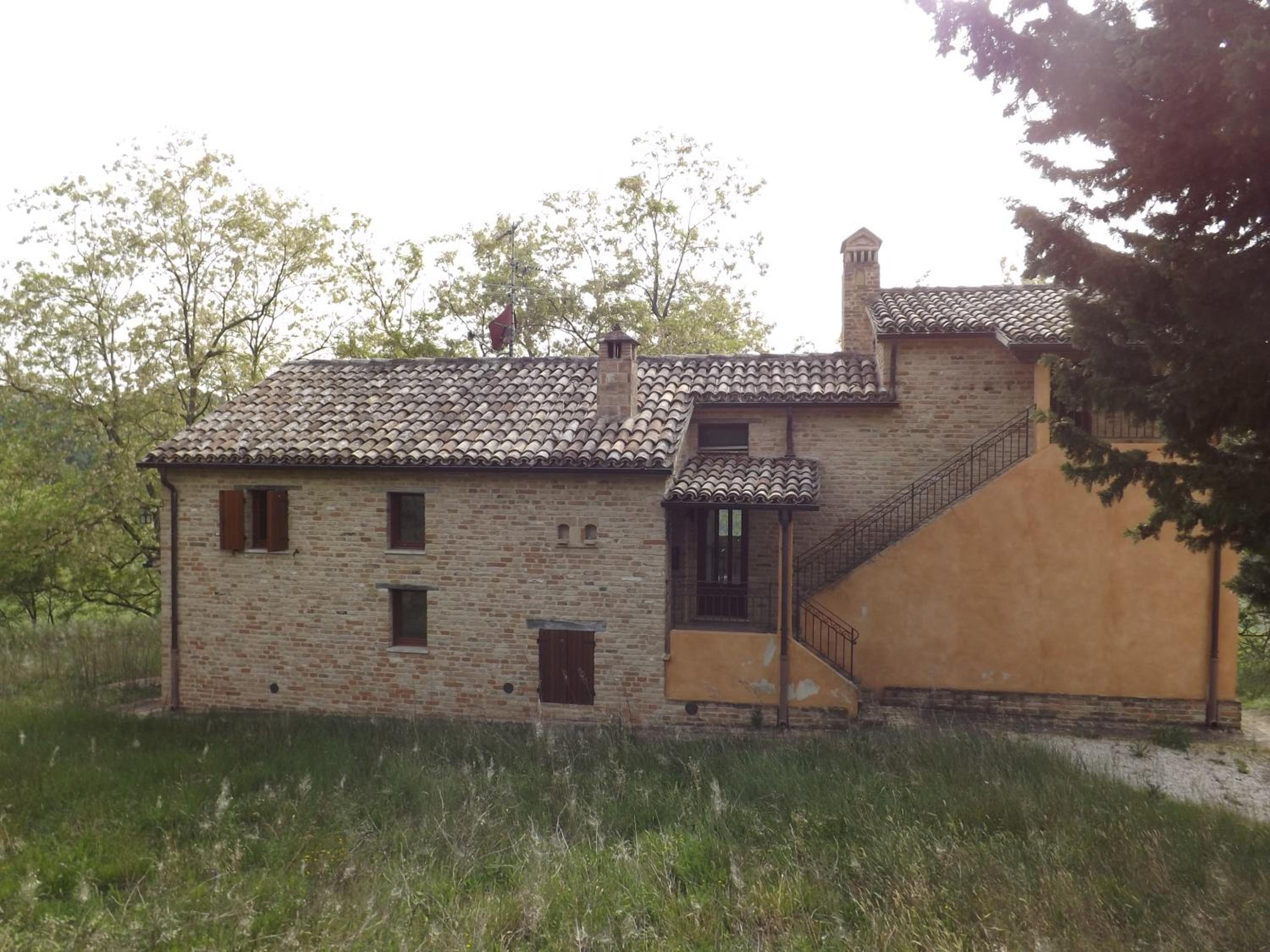 Photo 42