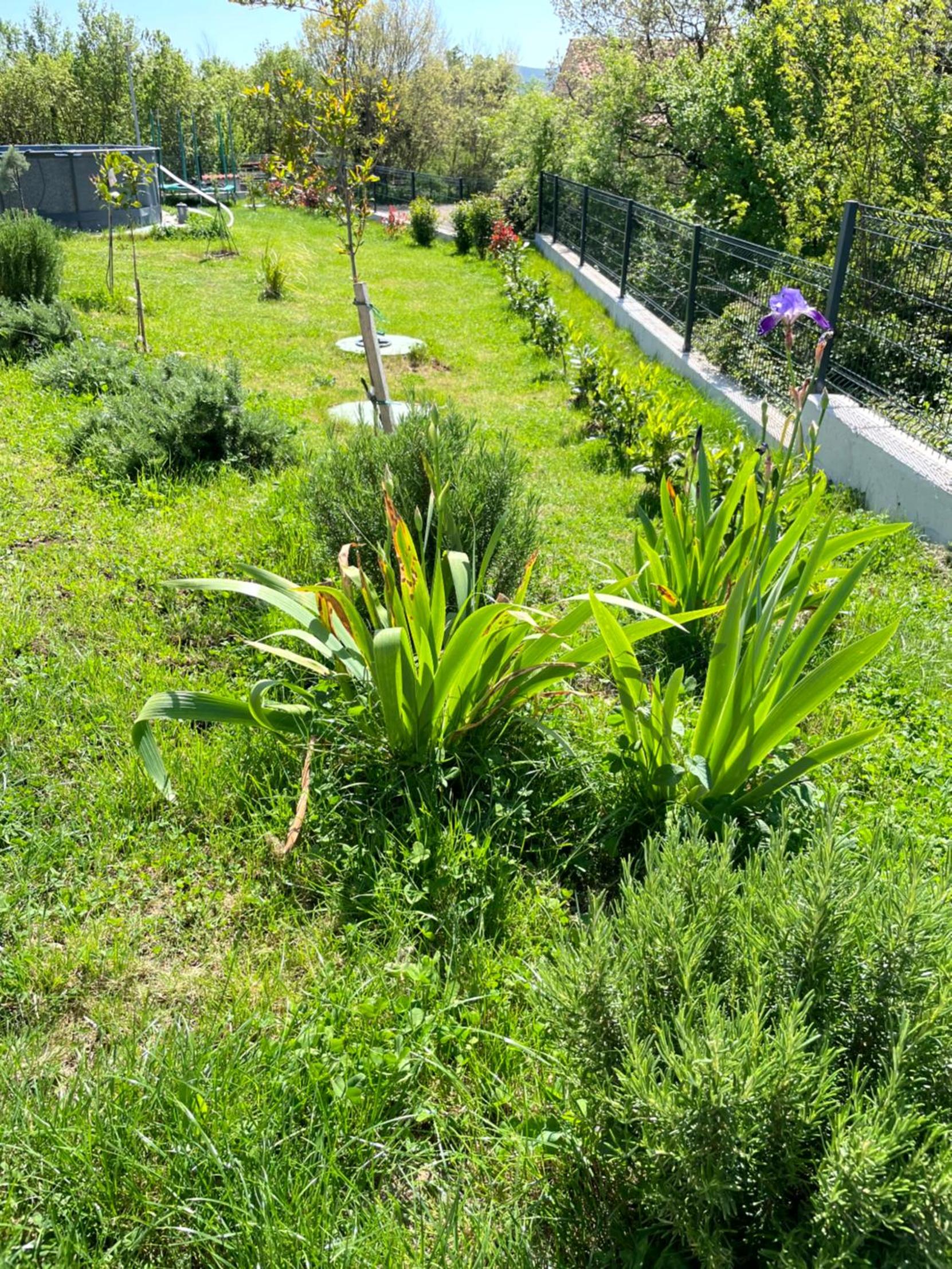 Photo 14