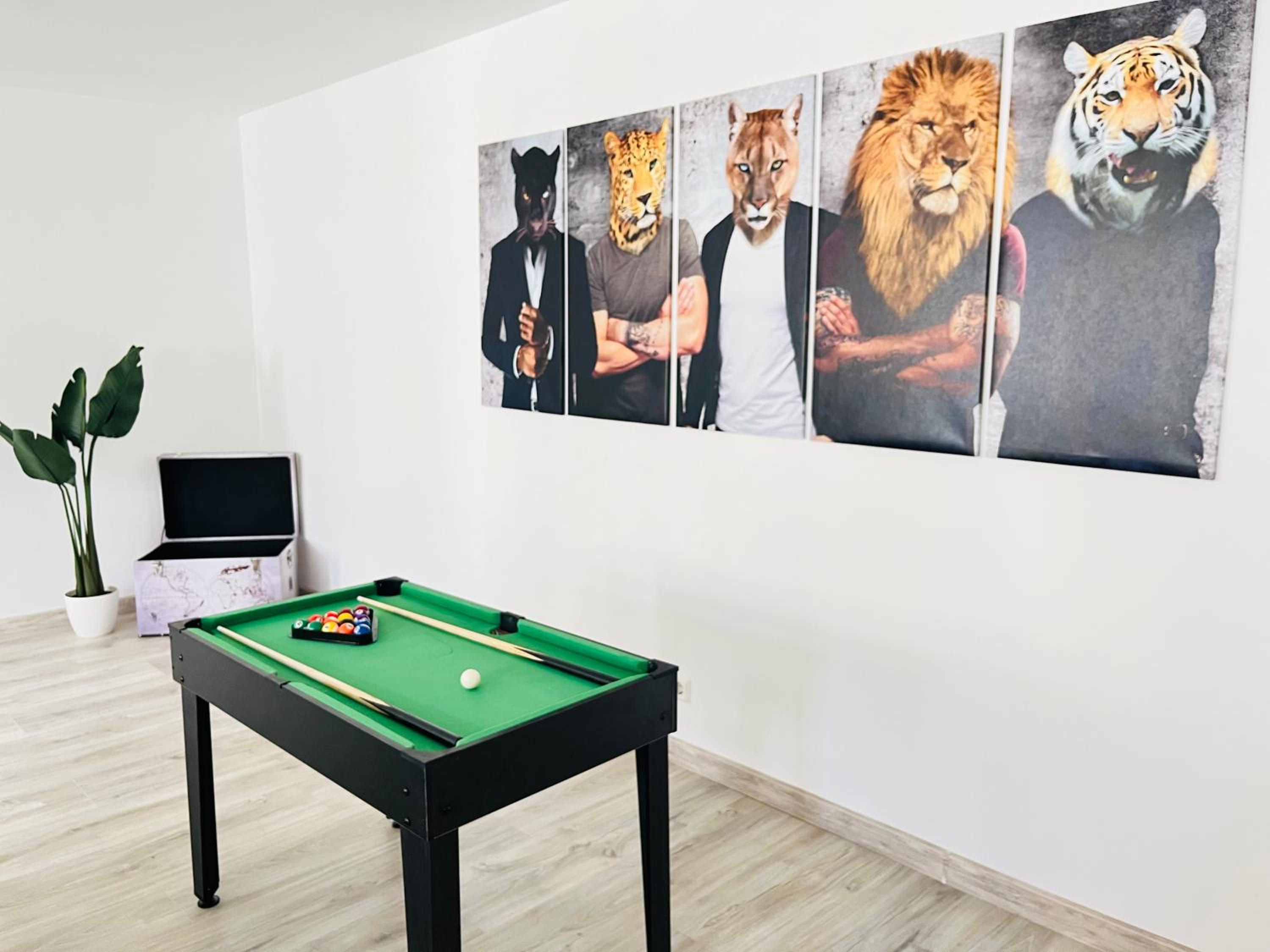 activities & amenities
