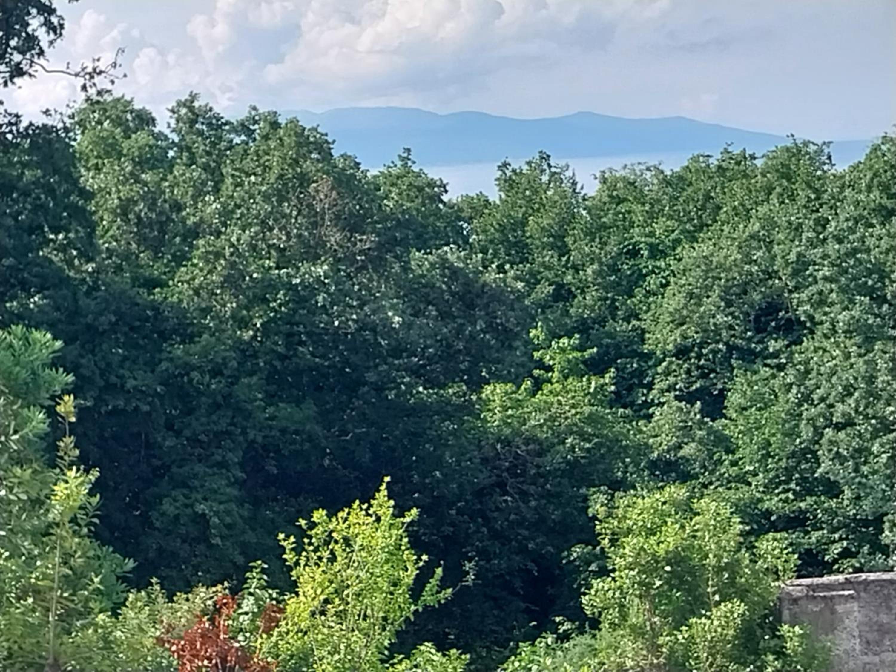 apartman & soba Škarica view 2