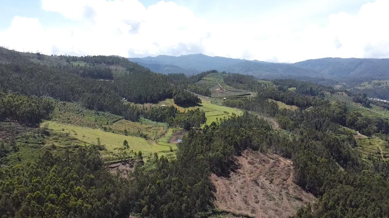 Mountain valley