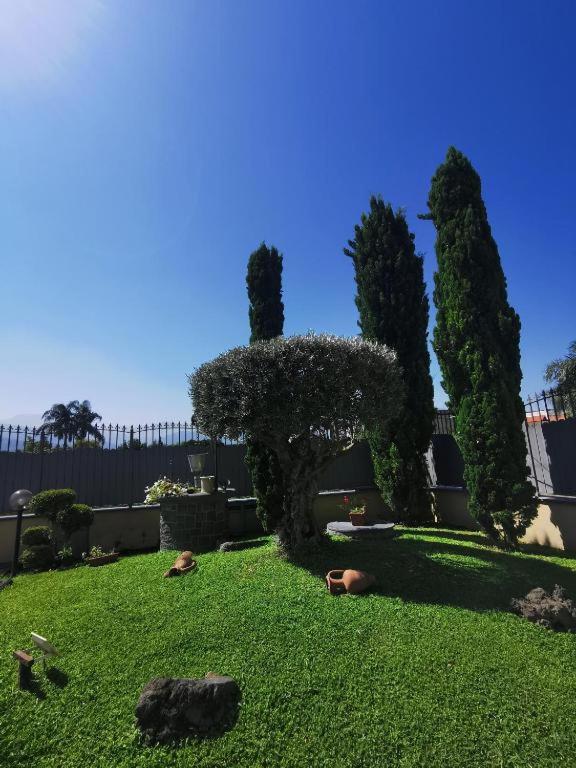 Atrium Pompei