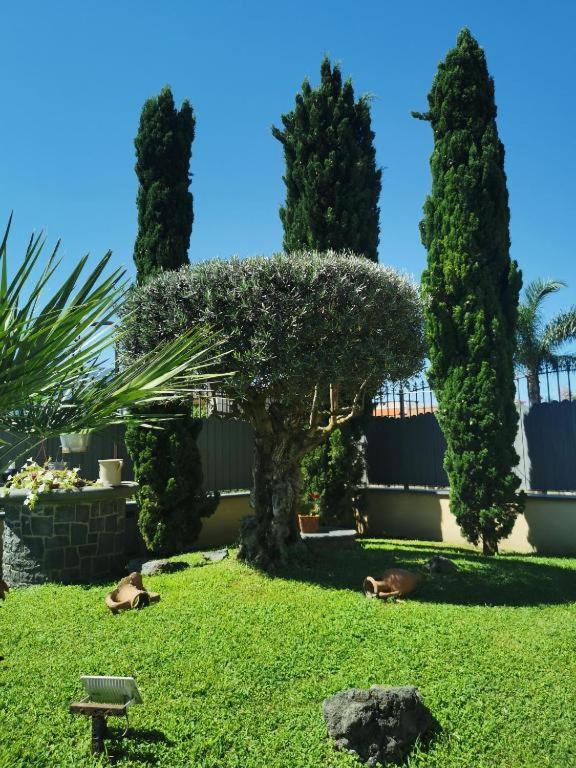 Atrium Pompei