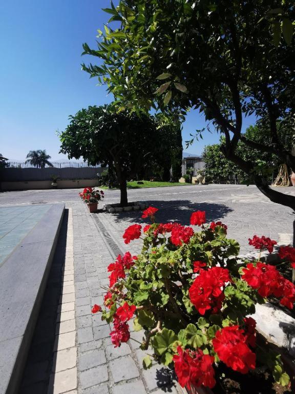 Atrium Pompei
