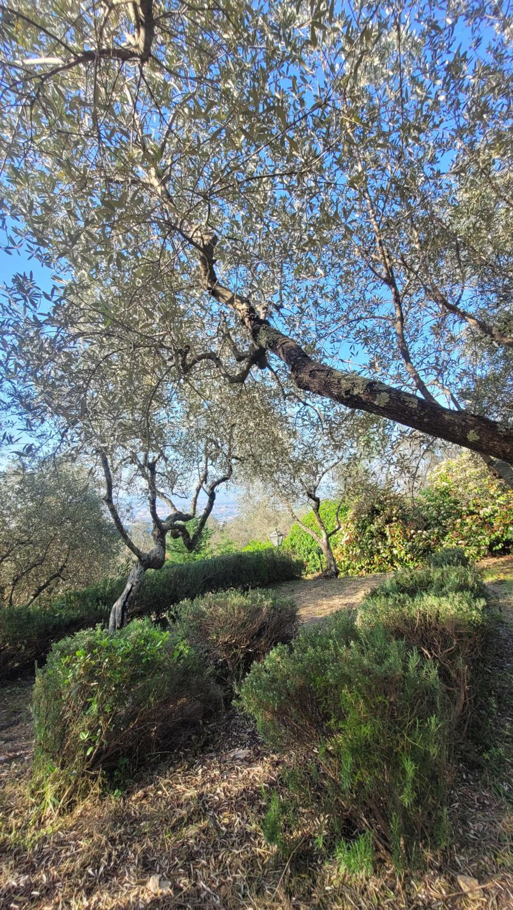 Villa Olimpia view 2
