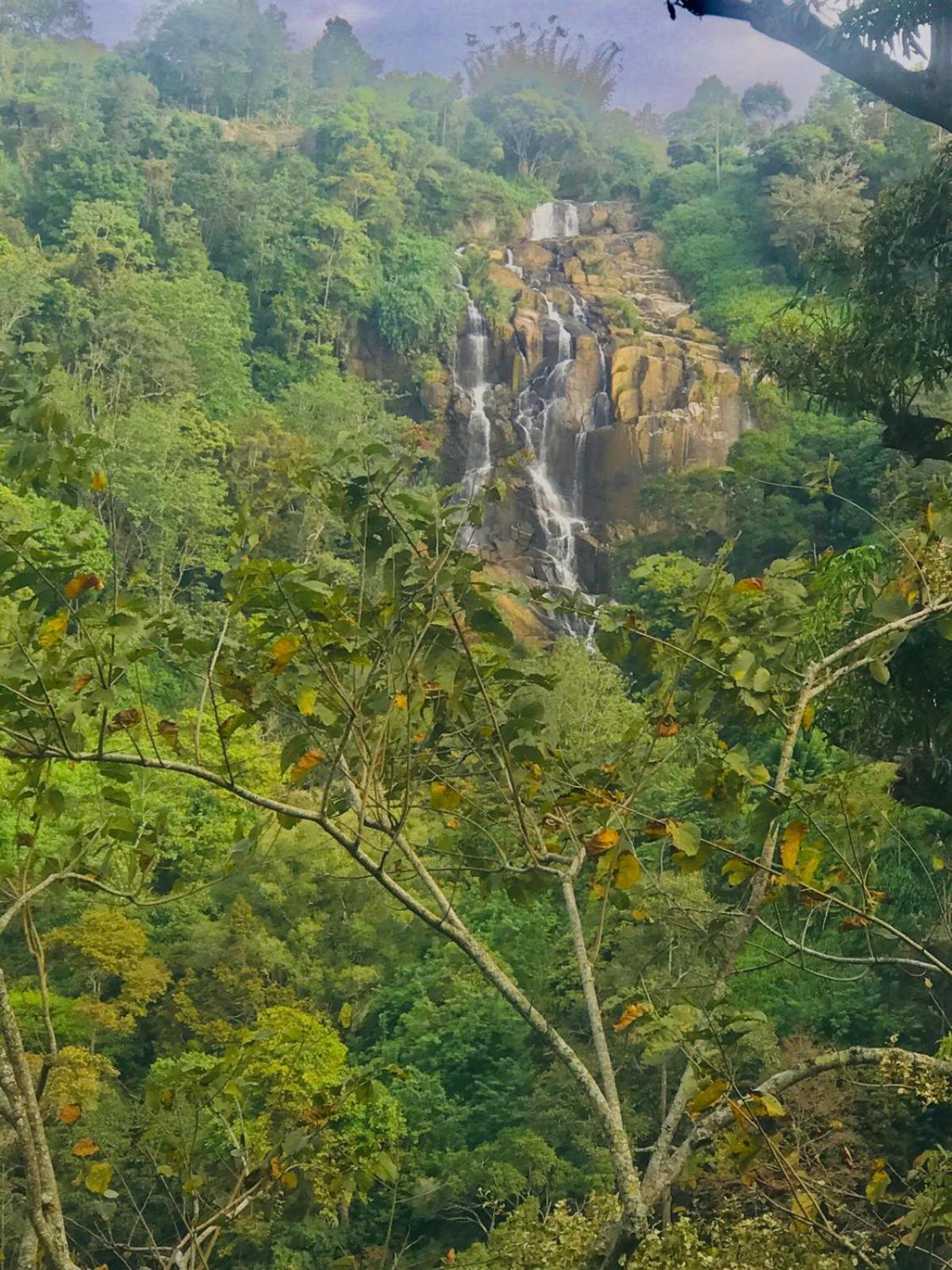 Ella Jungle Cottage view 2