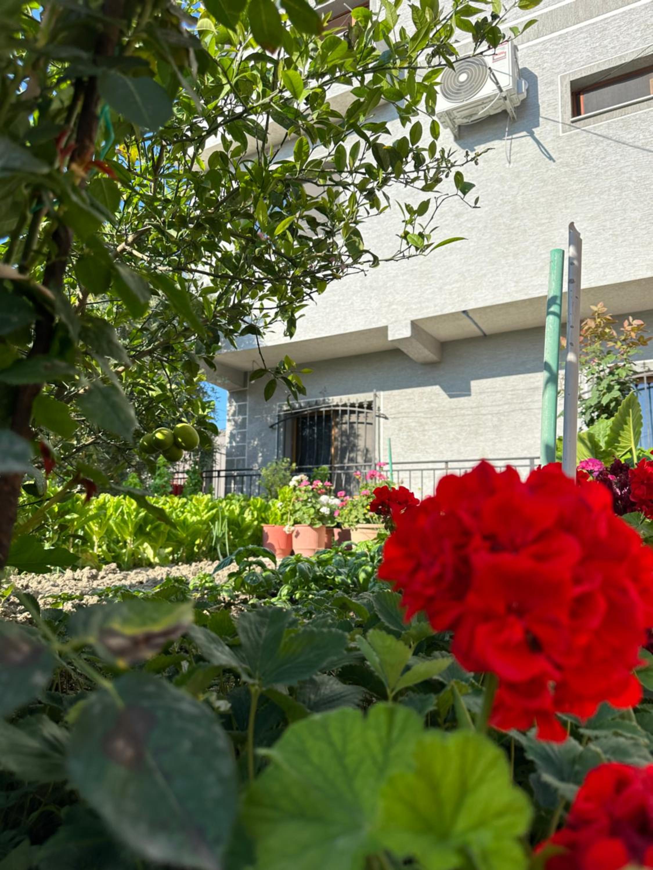 Gafko Apartments Durres