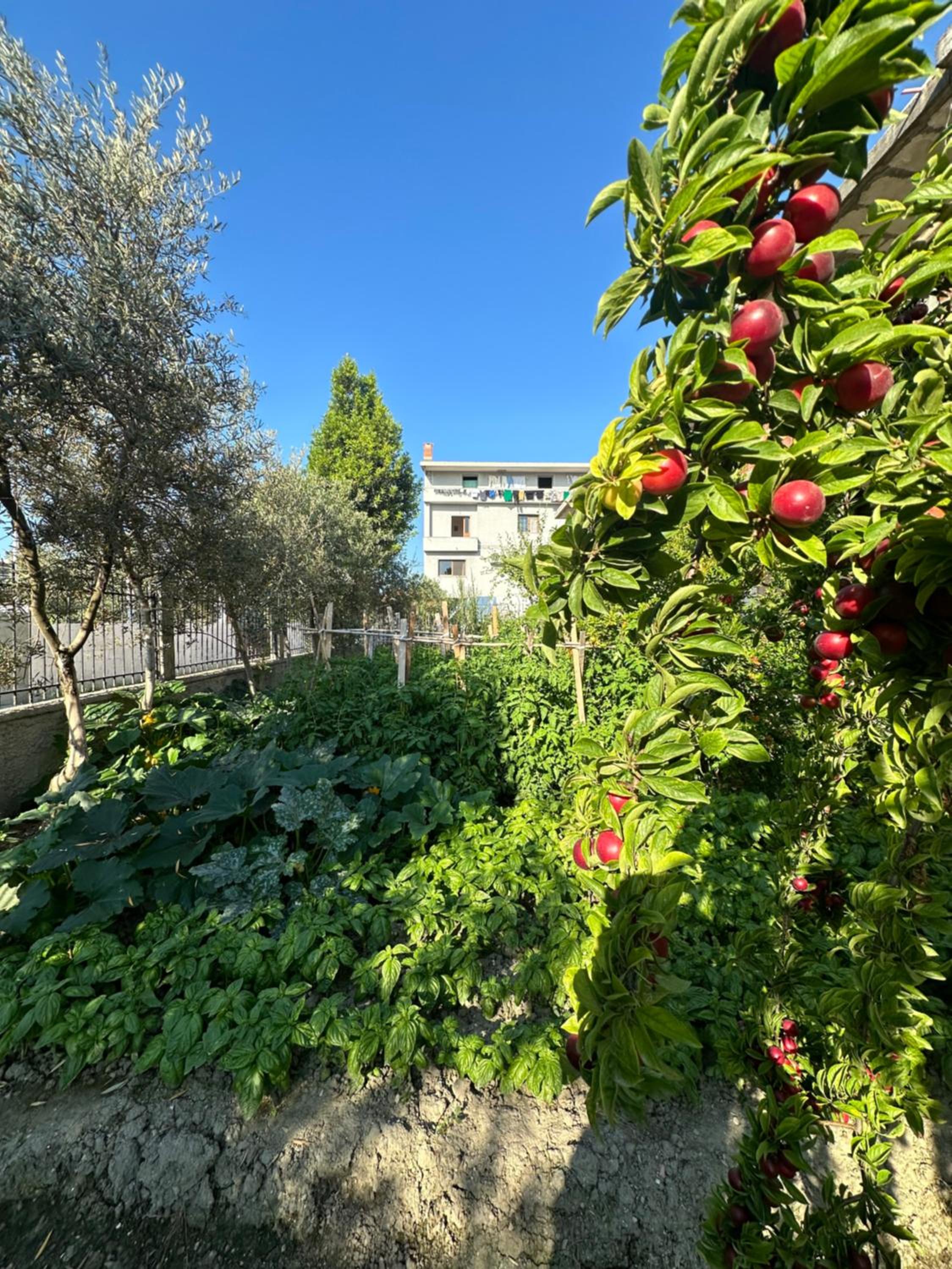 Gafko Apartments Durres