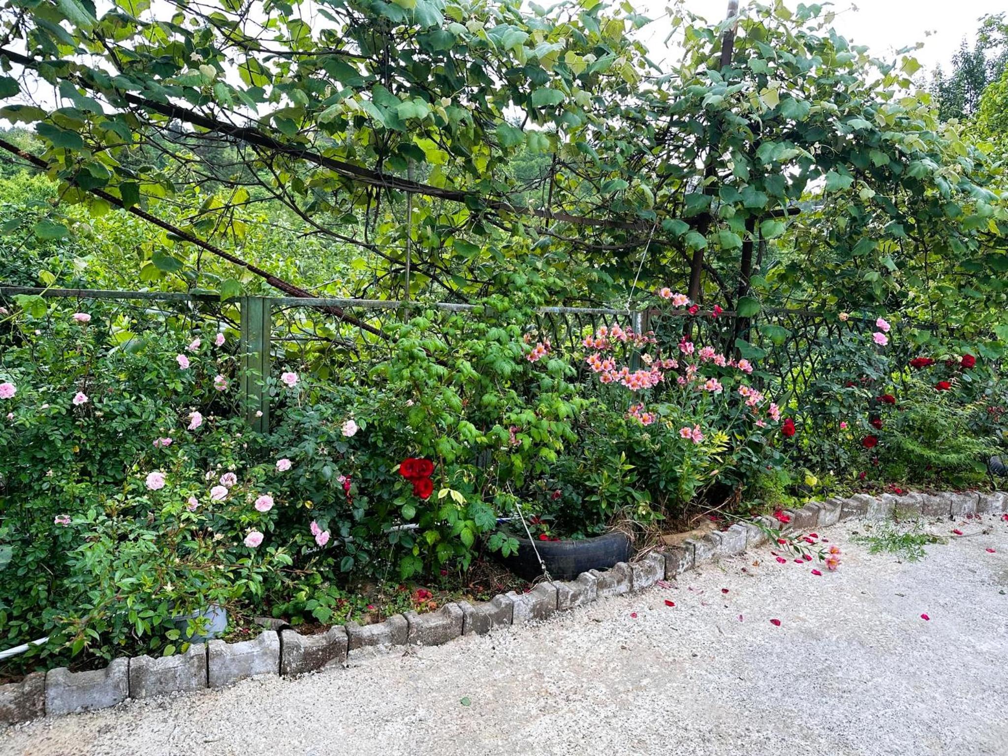 Photo 19