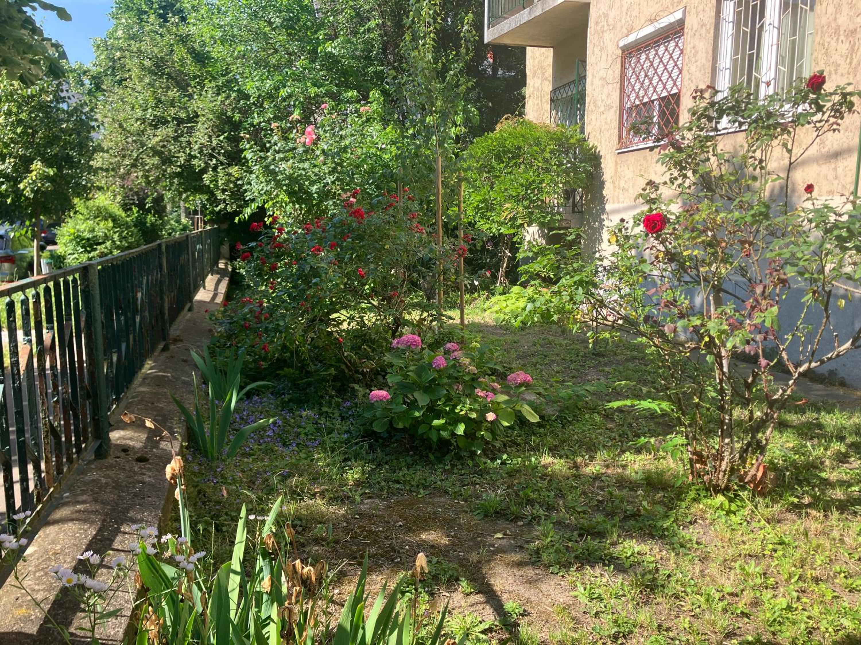 Photo 22