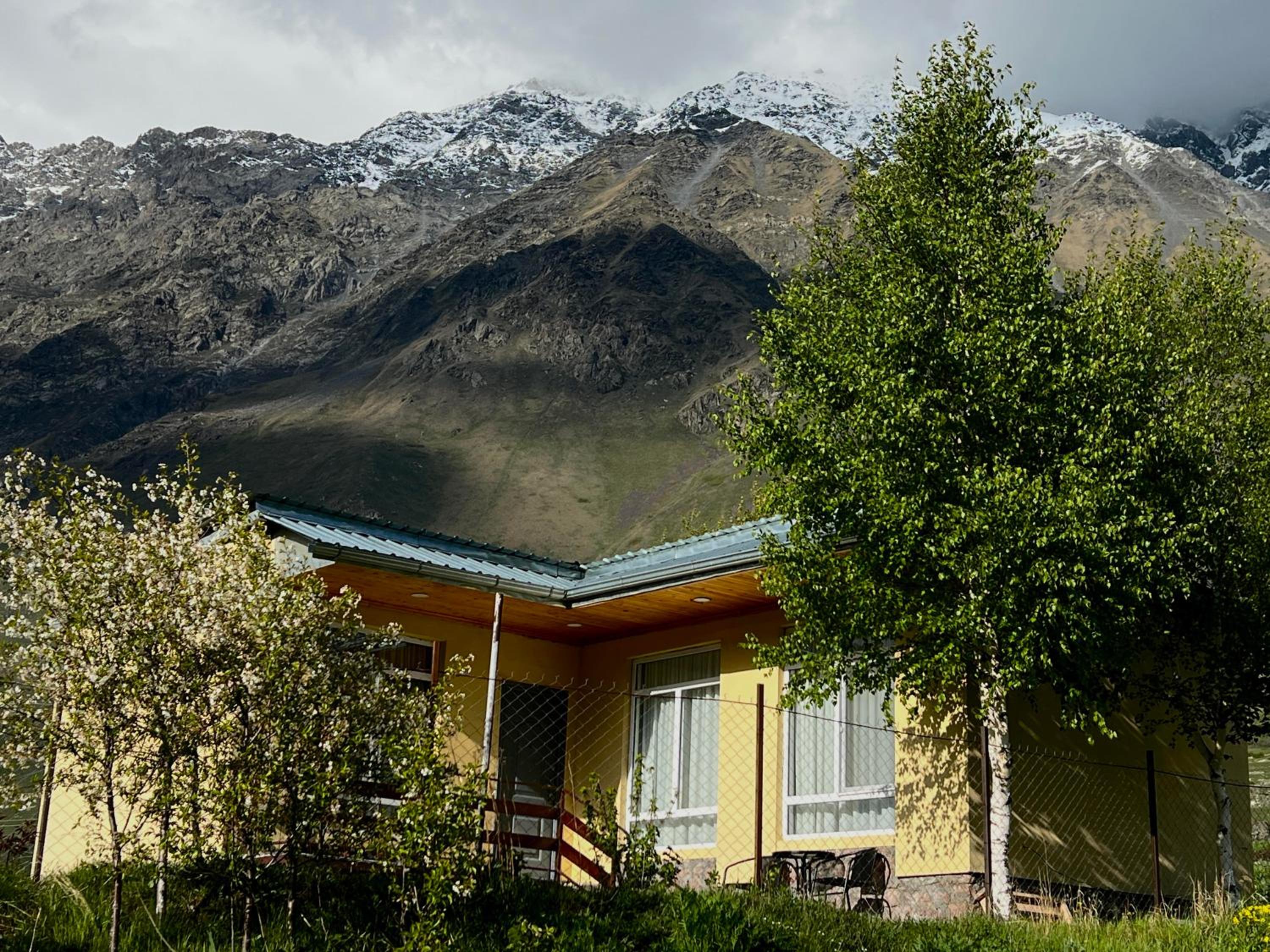 Mountain KAZBEGI Apartment