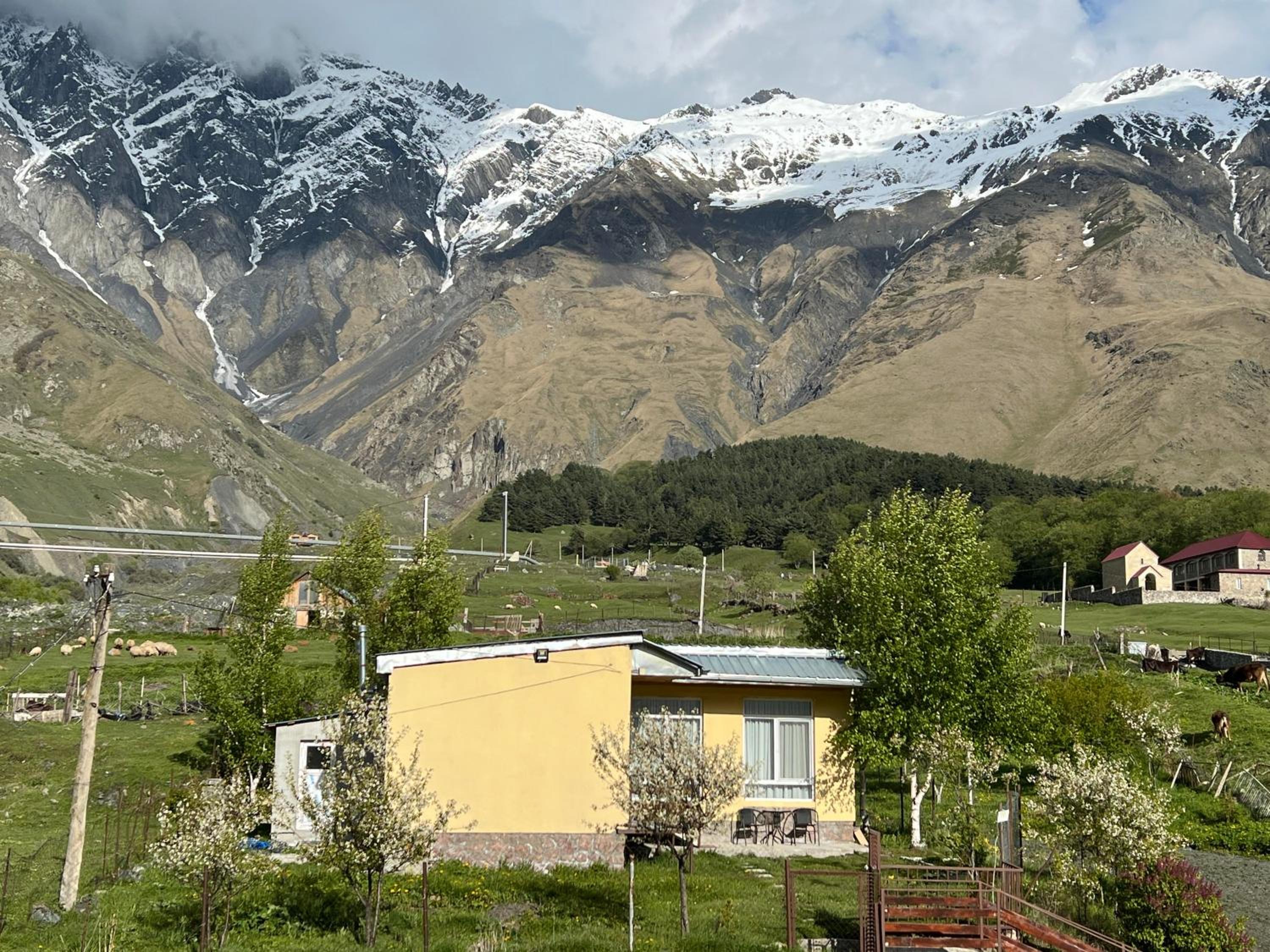 Mountain KAZBEGI Apartment