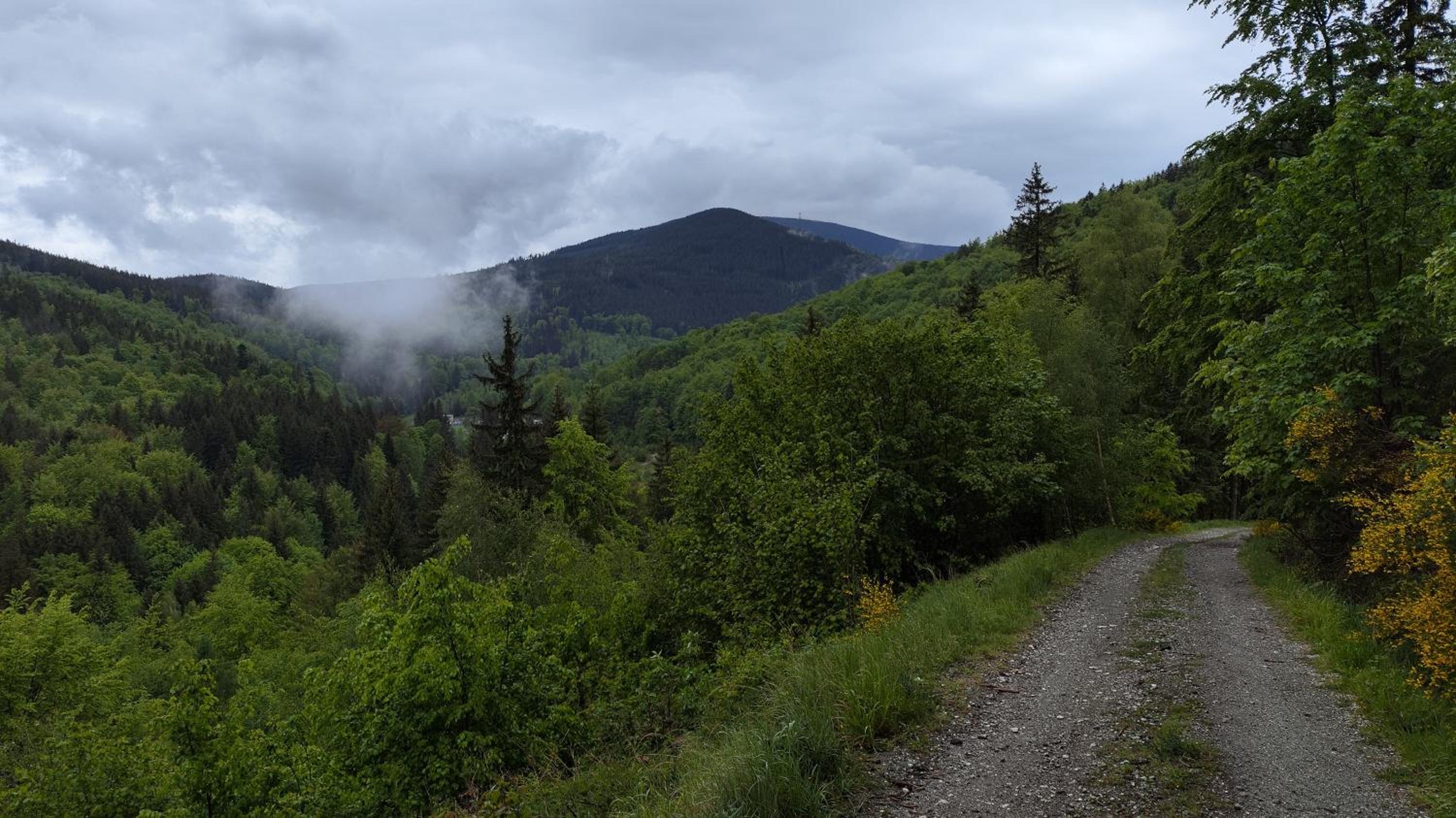Photo 41