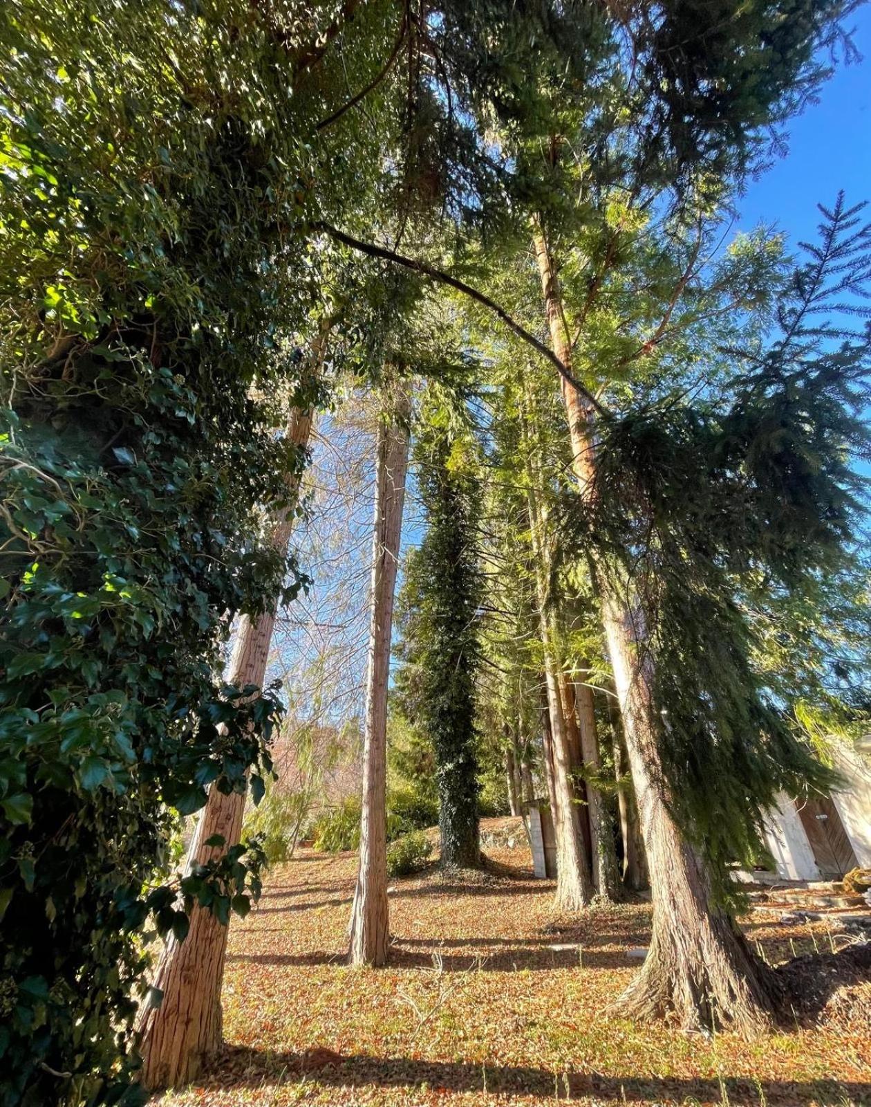 HARTMANN FEEL AT HOME B&B Villa Gignese photo 4