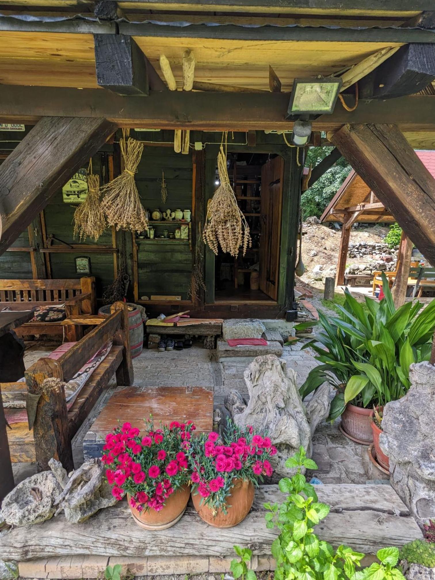 Eco Lodge Gradac view 2