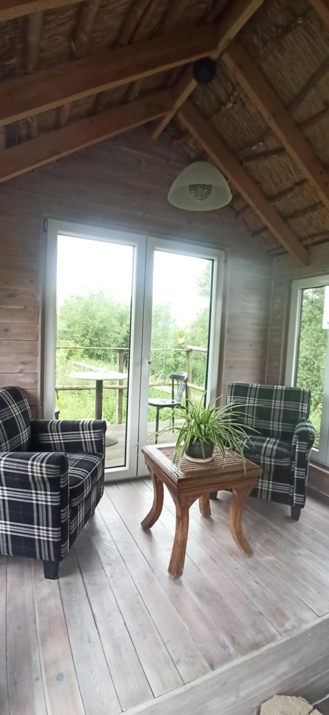 Tiny in de polders