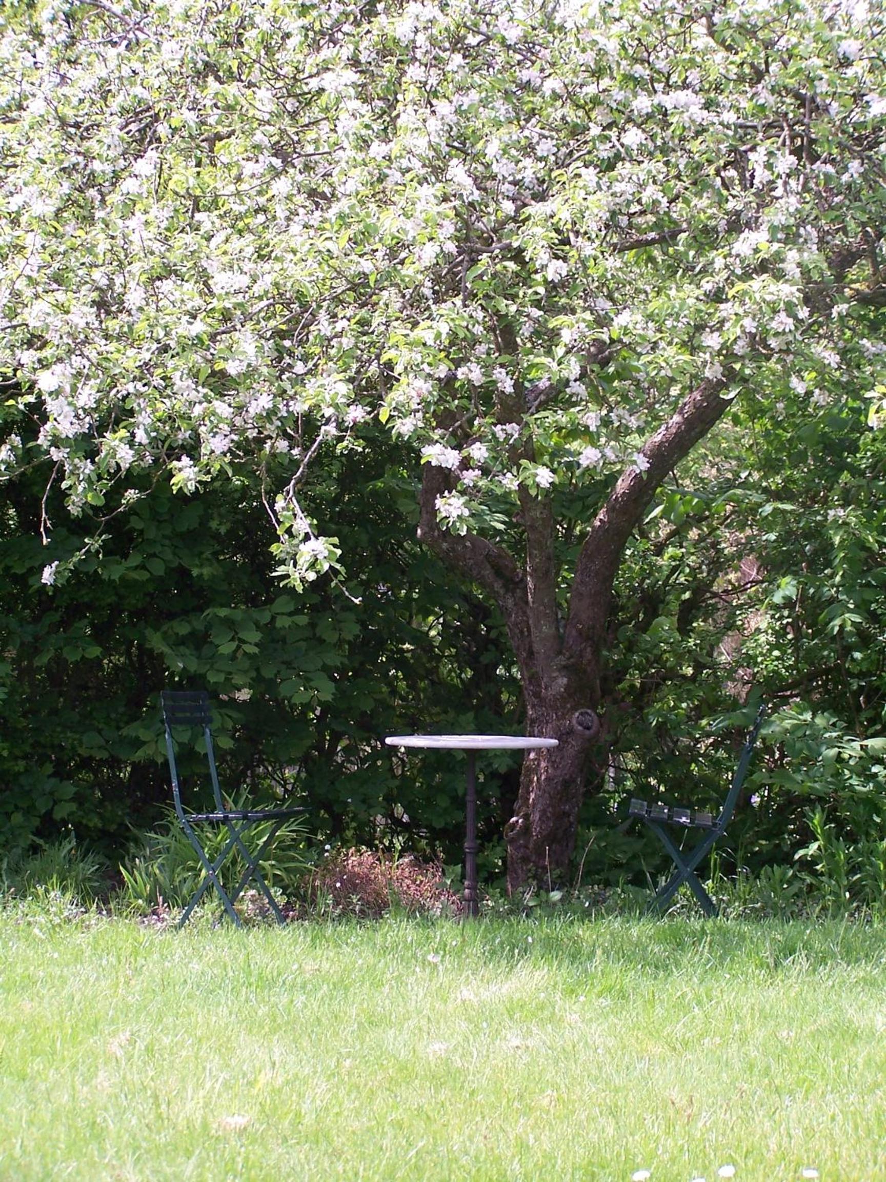 Photo 40