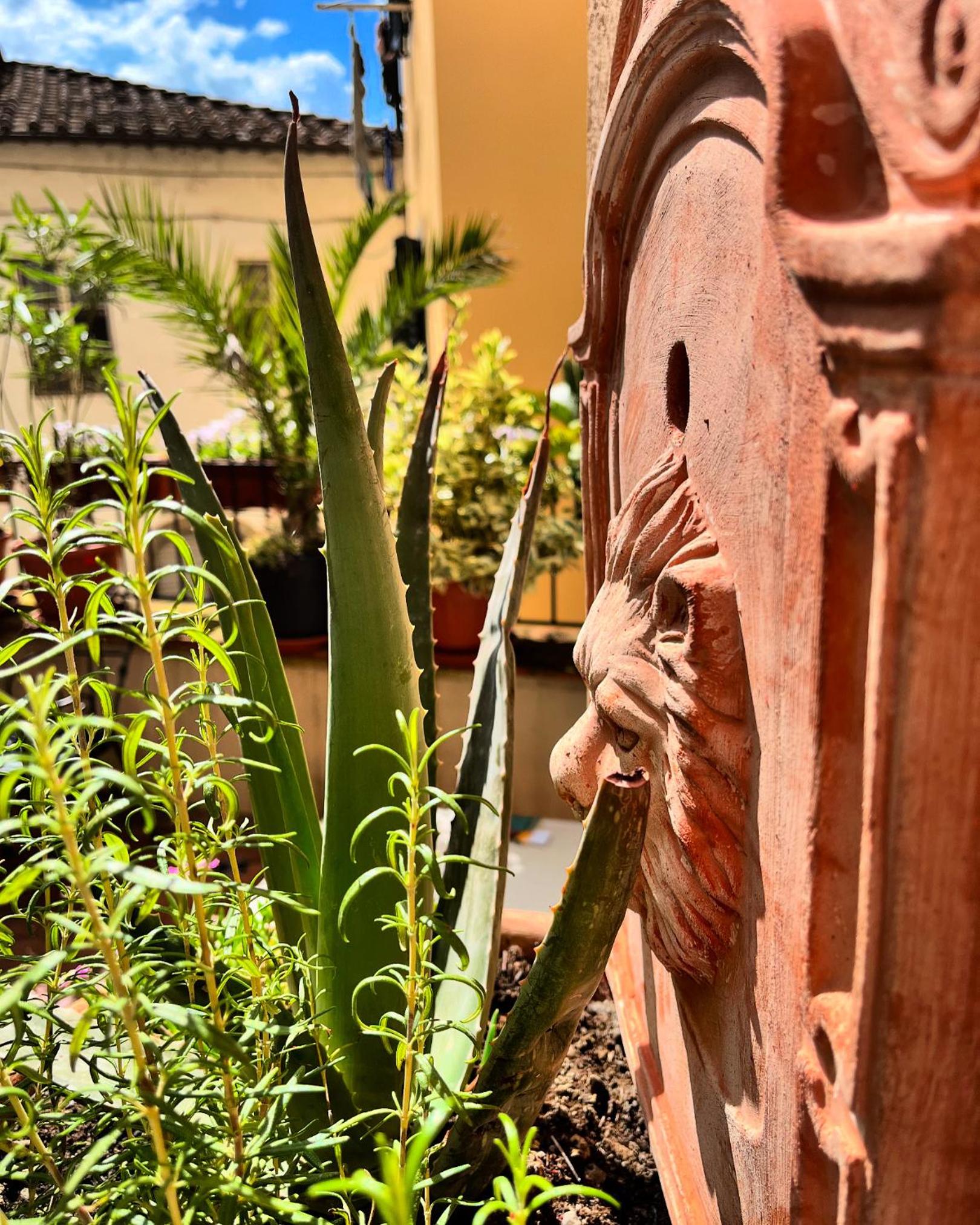 Terrazza Giuliana, Wunderschönes Häuschen in der Toskana mit sonniger, leuchtender Terrasse