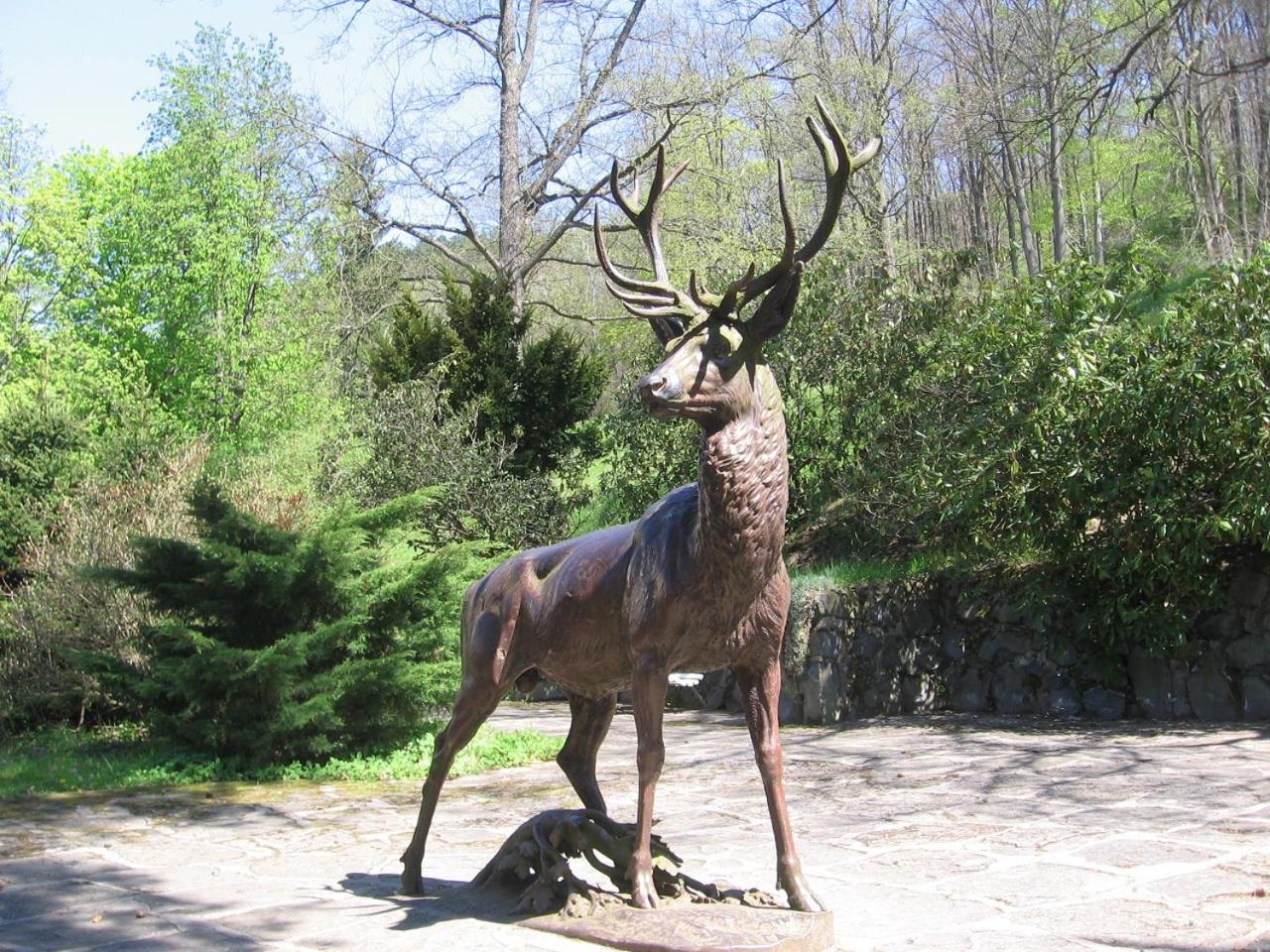 Kranio