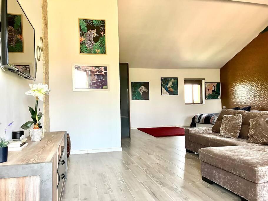 Exclusivo Loft en Zaragoza-2