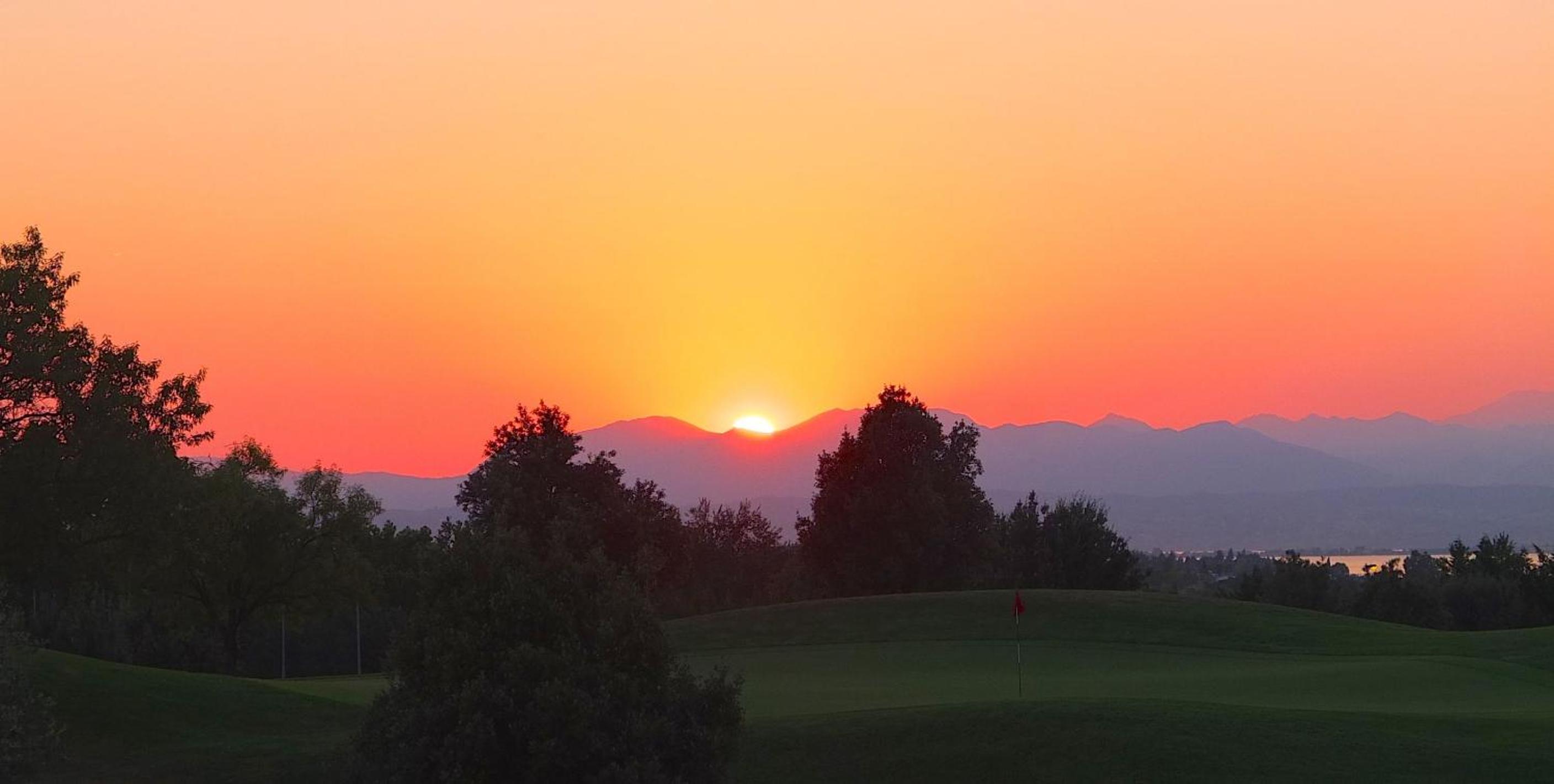 Experia Golf Loft - Italian Homing