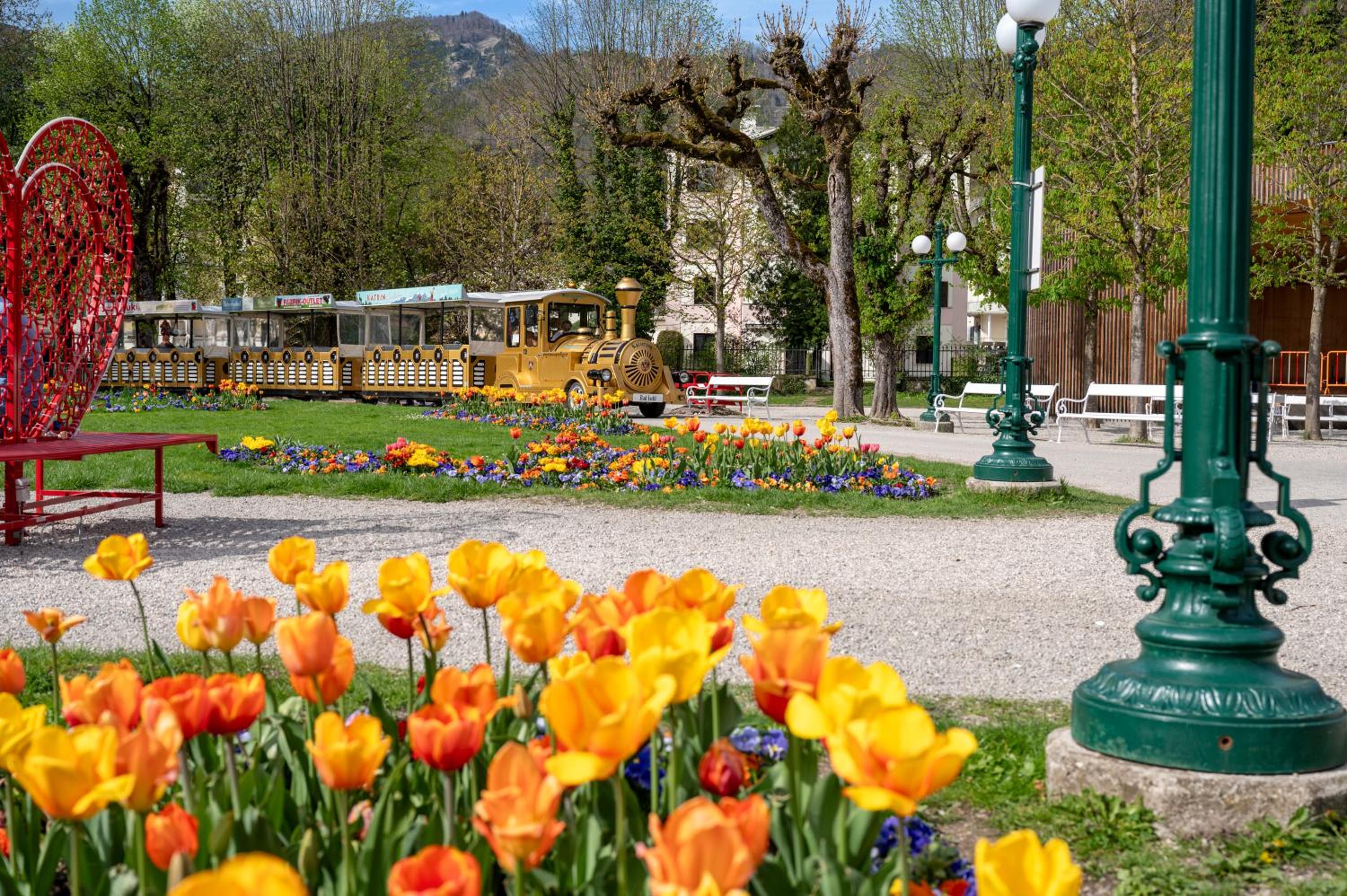 Cottage Bad Ischl