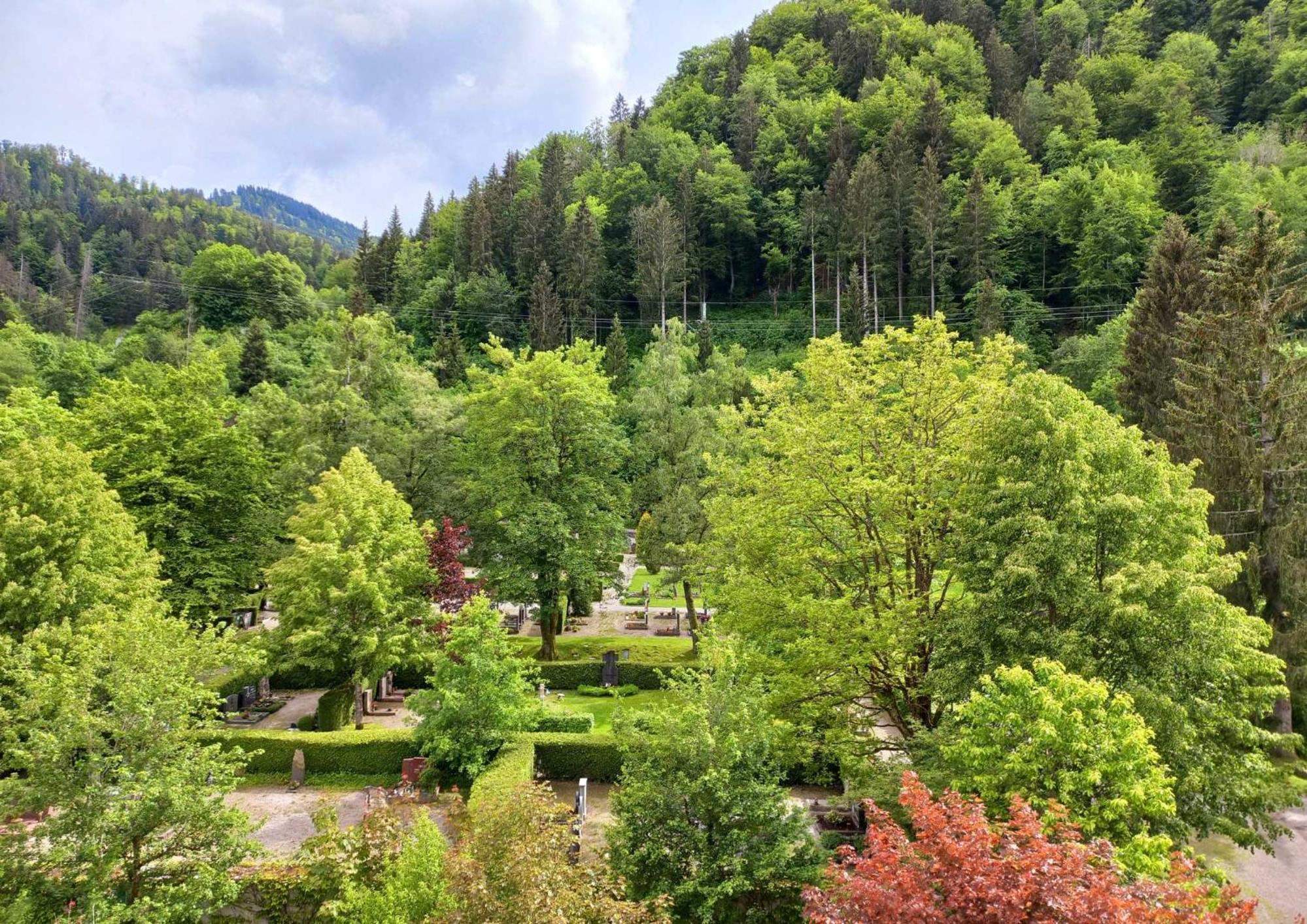 Aparte 3-Zi-Wohnung im Oberallgäu direkt am Berg!