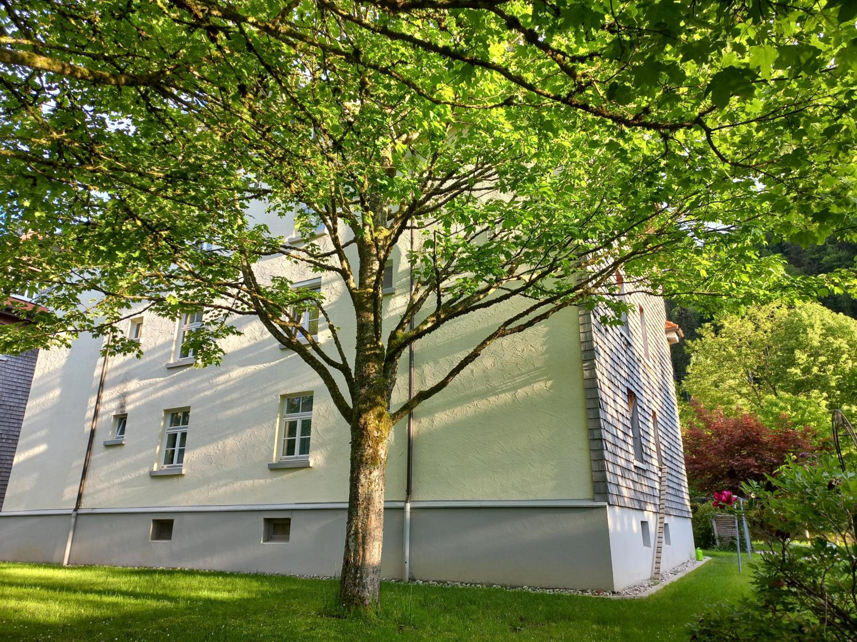 Aparte 3-Zi-Wohnung im Oberallgäu direkt am Berg!