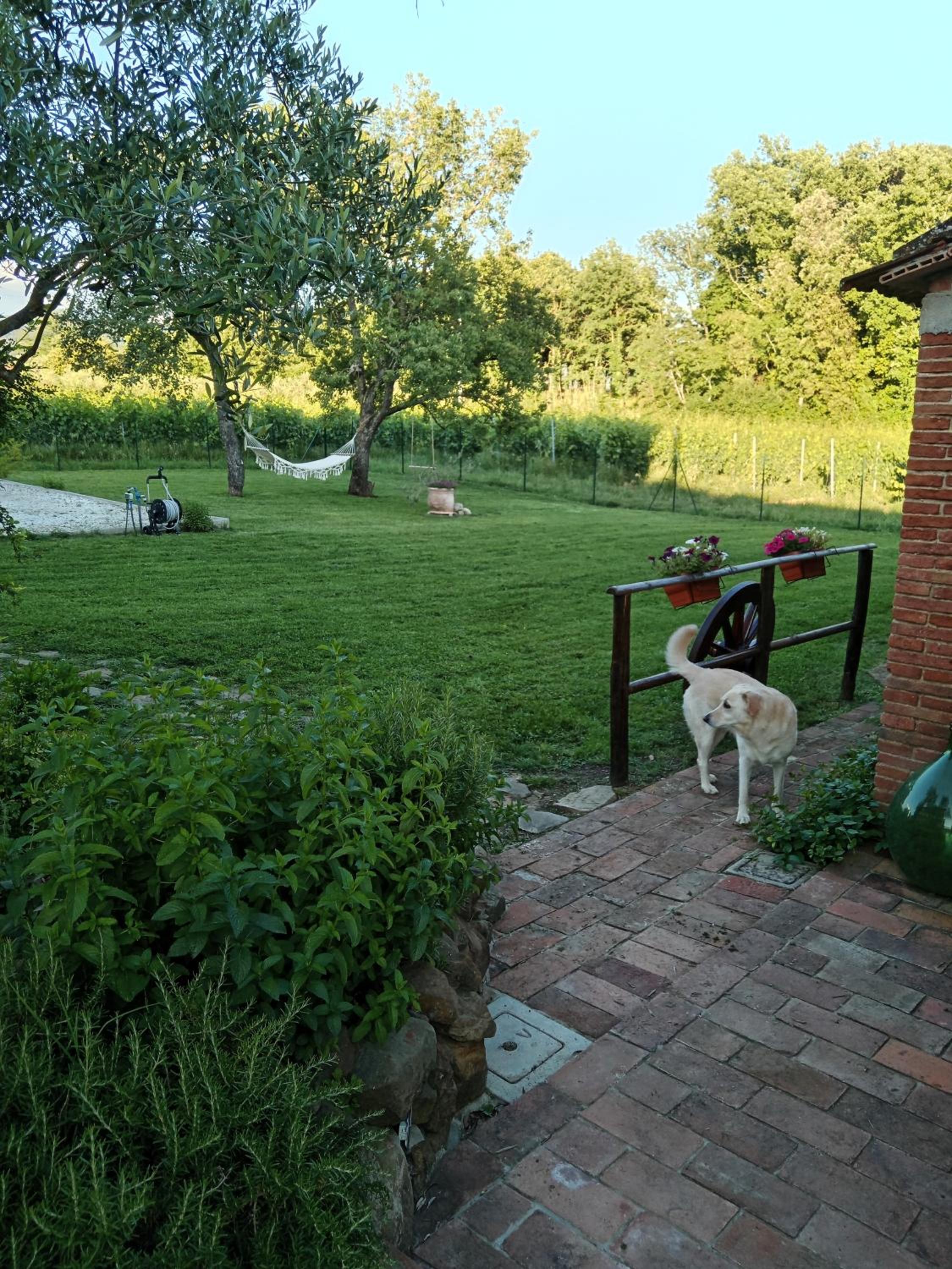 Photo 46
