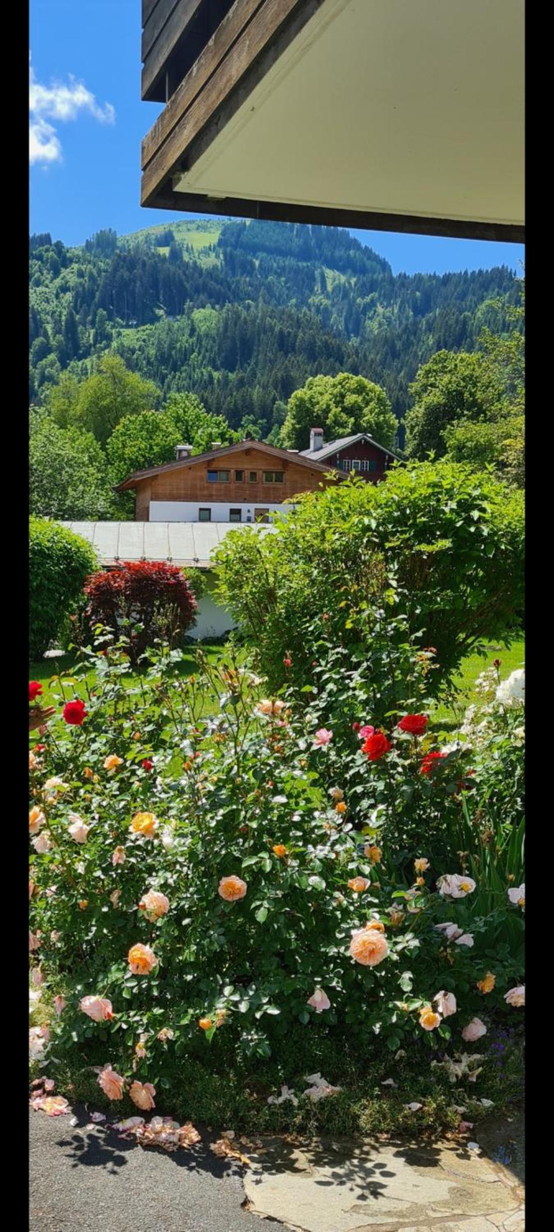 Haus Beatrice