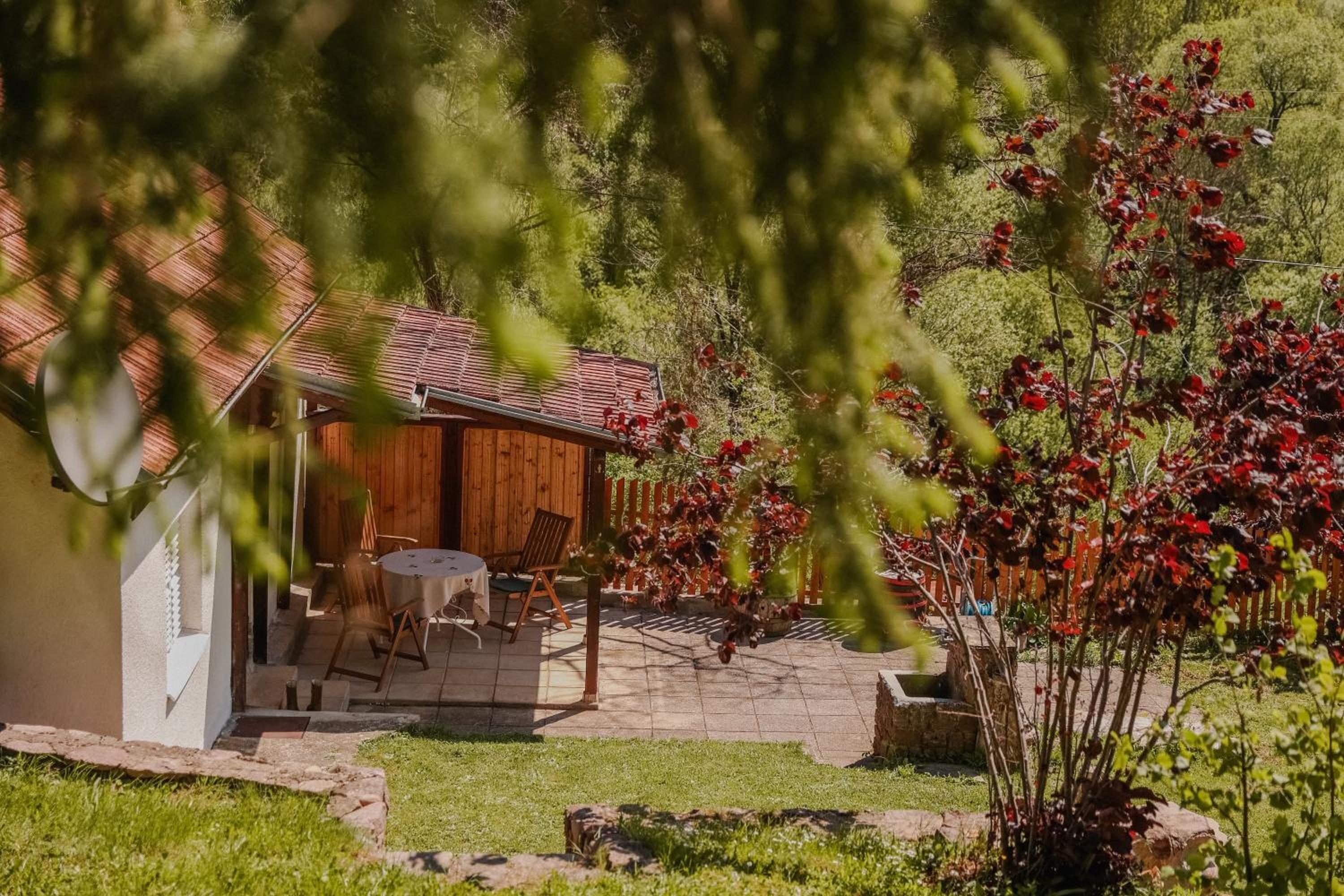 Kuca Lula Stara planina view 3