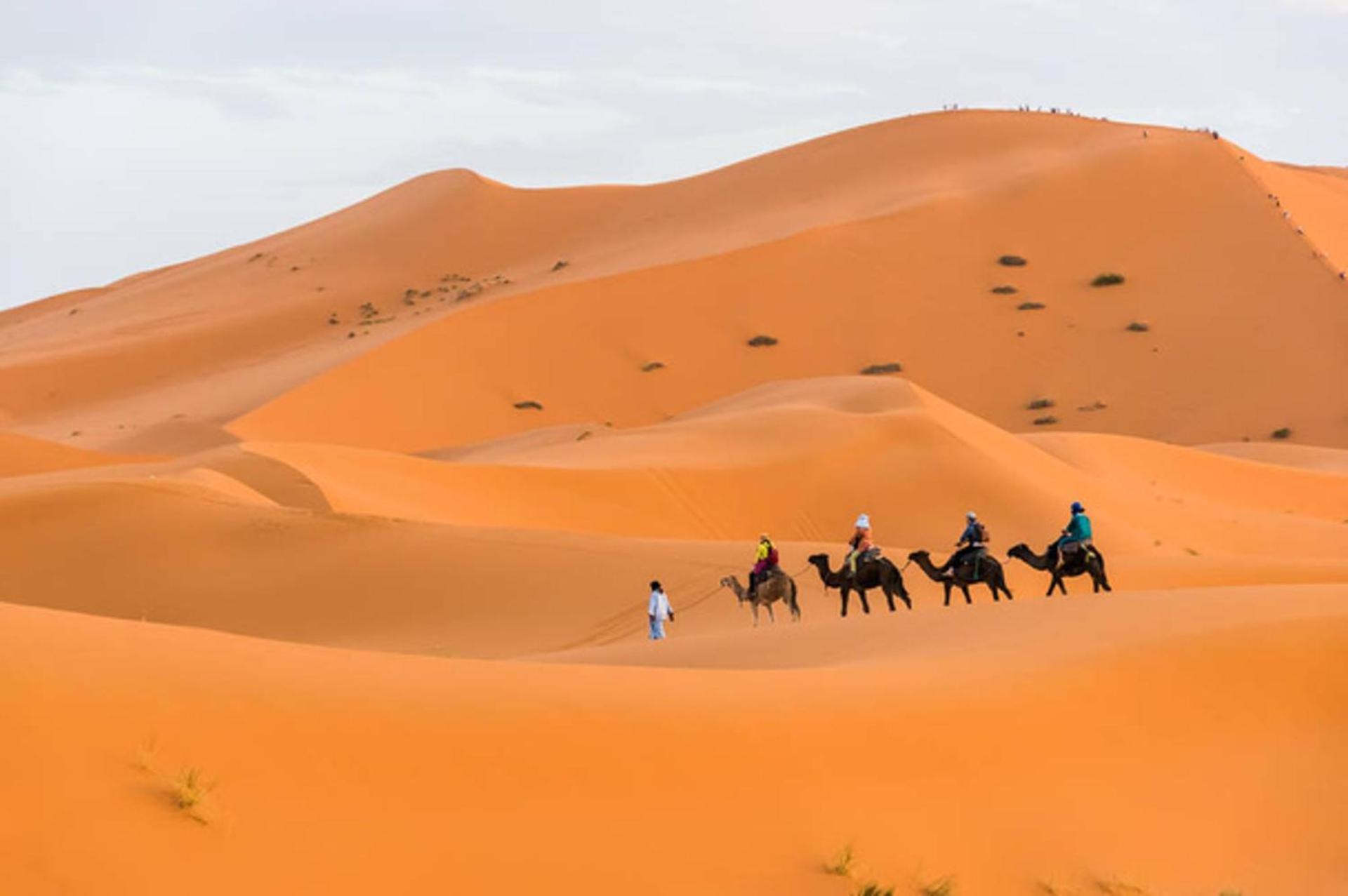 Merzouga Luxury Camp view 3