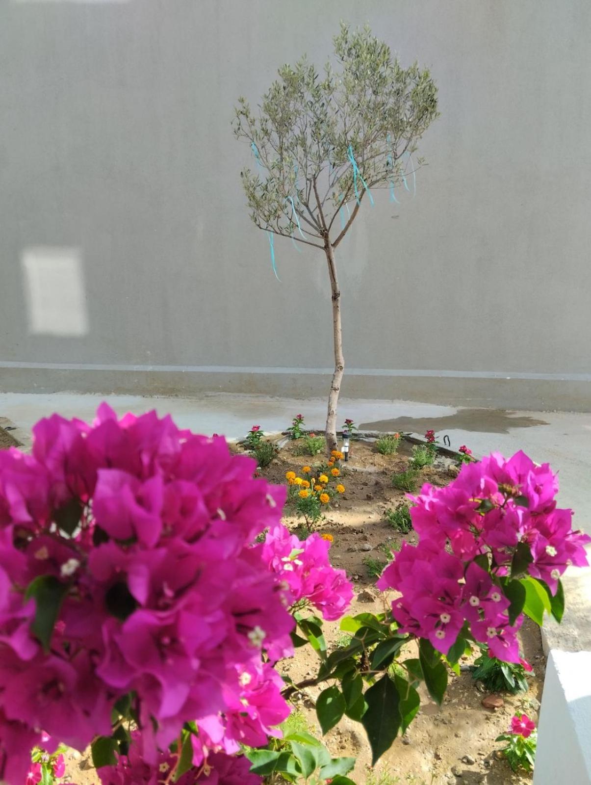 OASIS luxury apartments and rooms nikiti, Foto 14