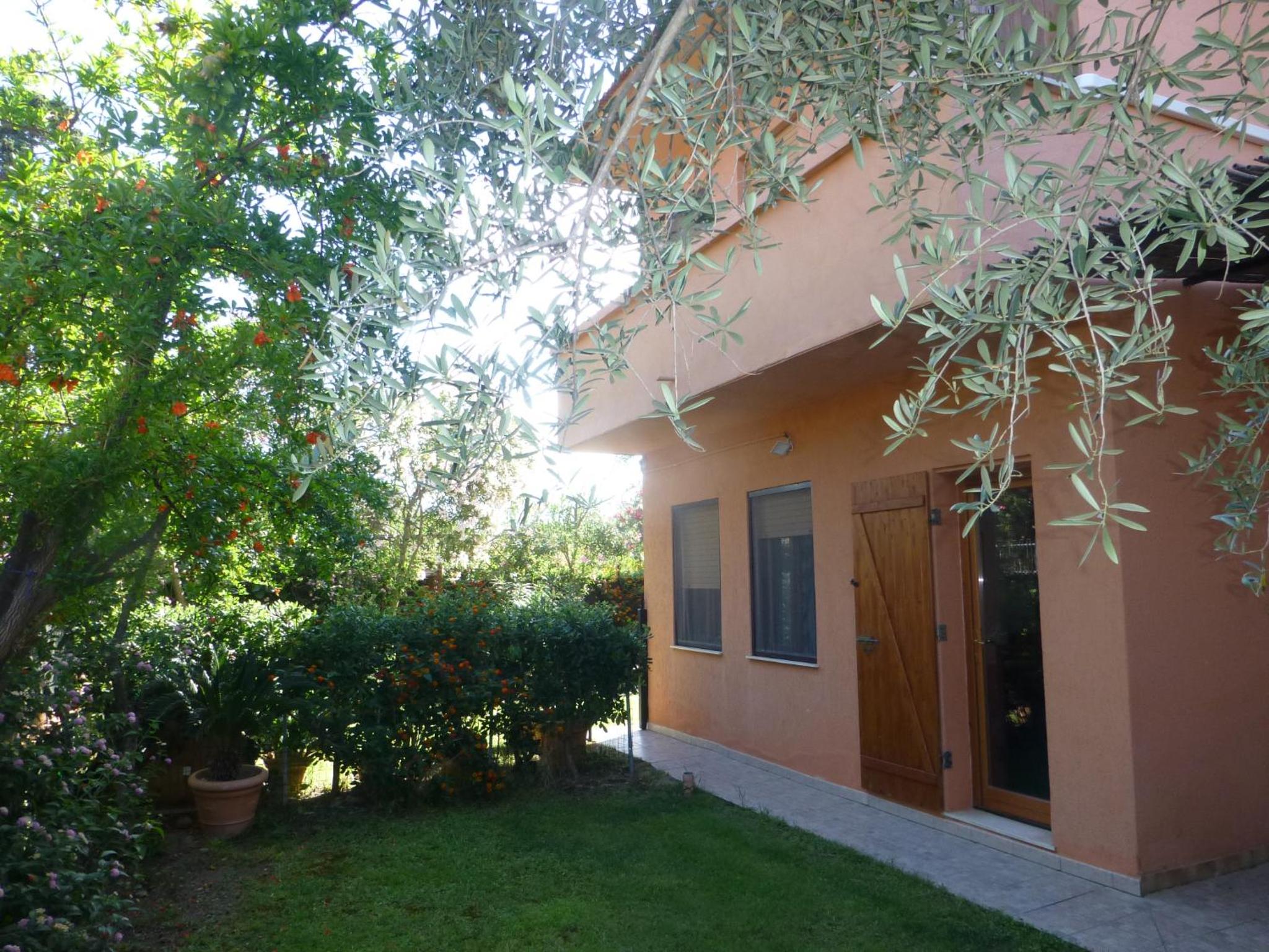 Photo 26