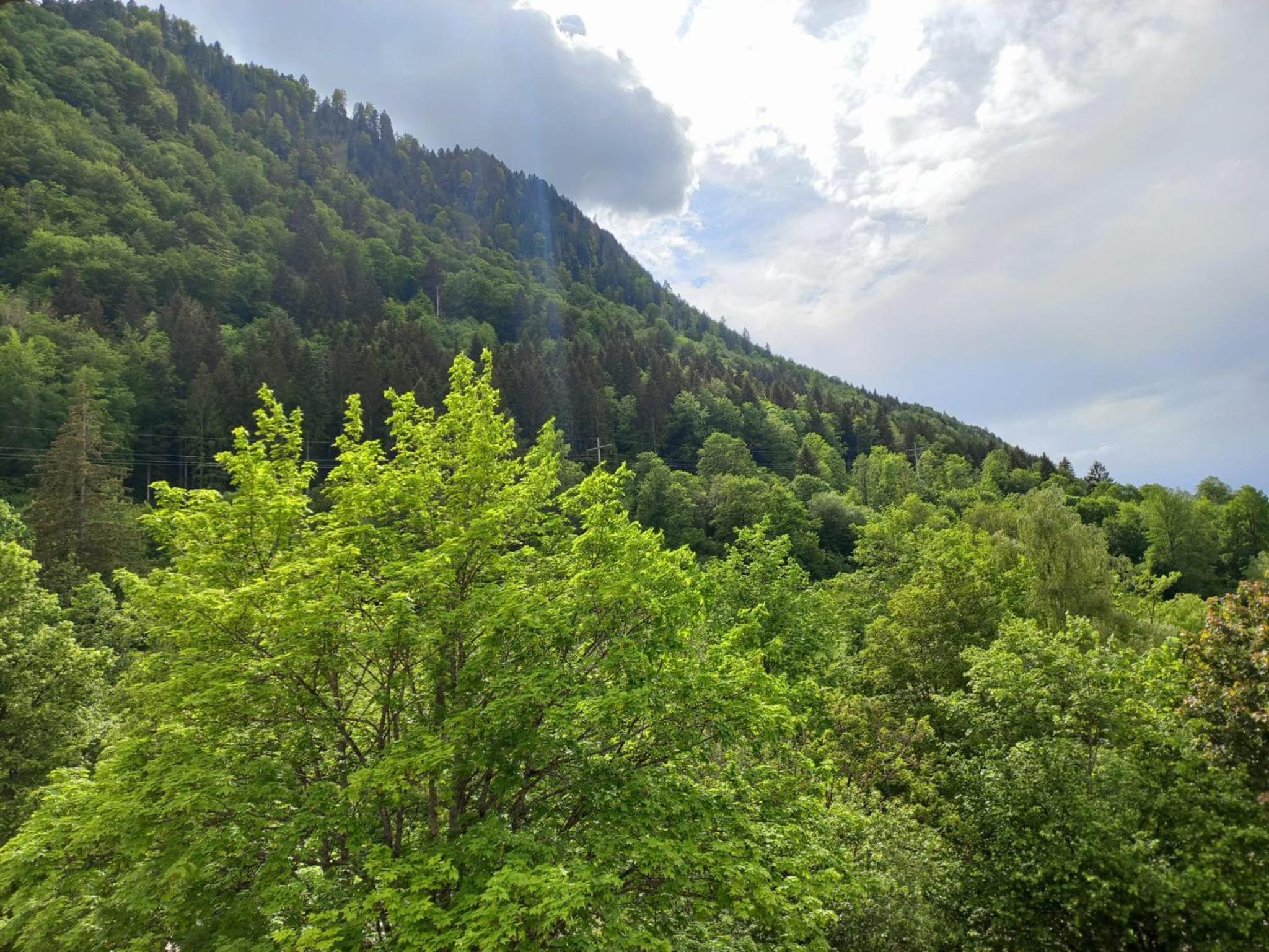 Aparte 3-Zi-Wohnung im Oberallgäu direkt am Berg!