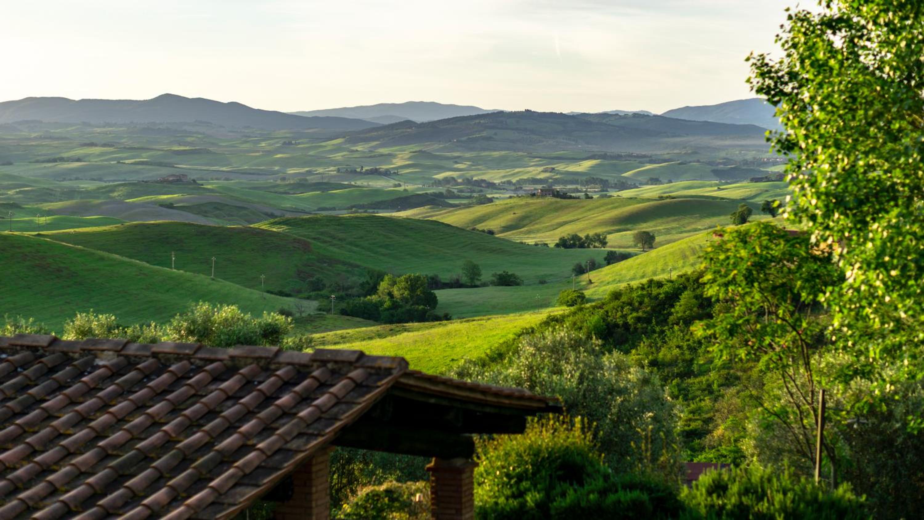 Agriturismo LUCERTOLA