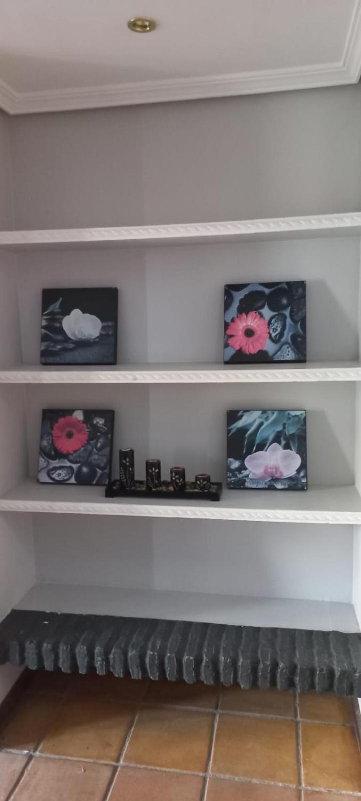 APARTAMENTOS LUZ DE LA BAHÍA SUR CADIZ San Fernando